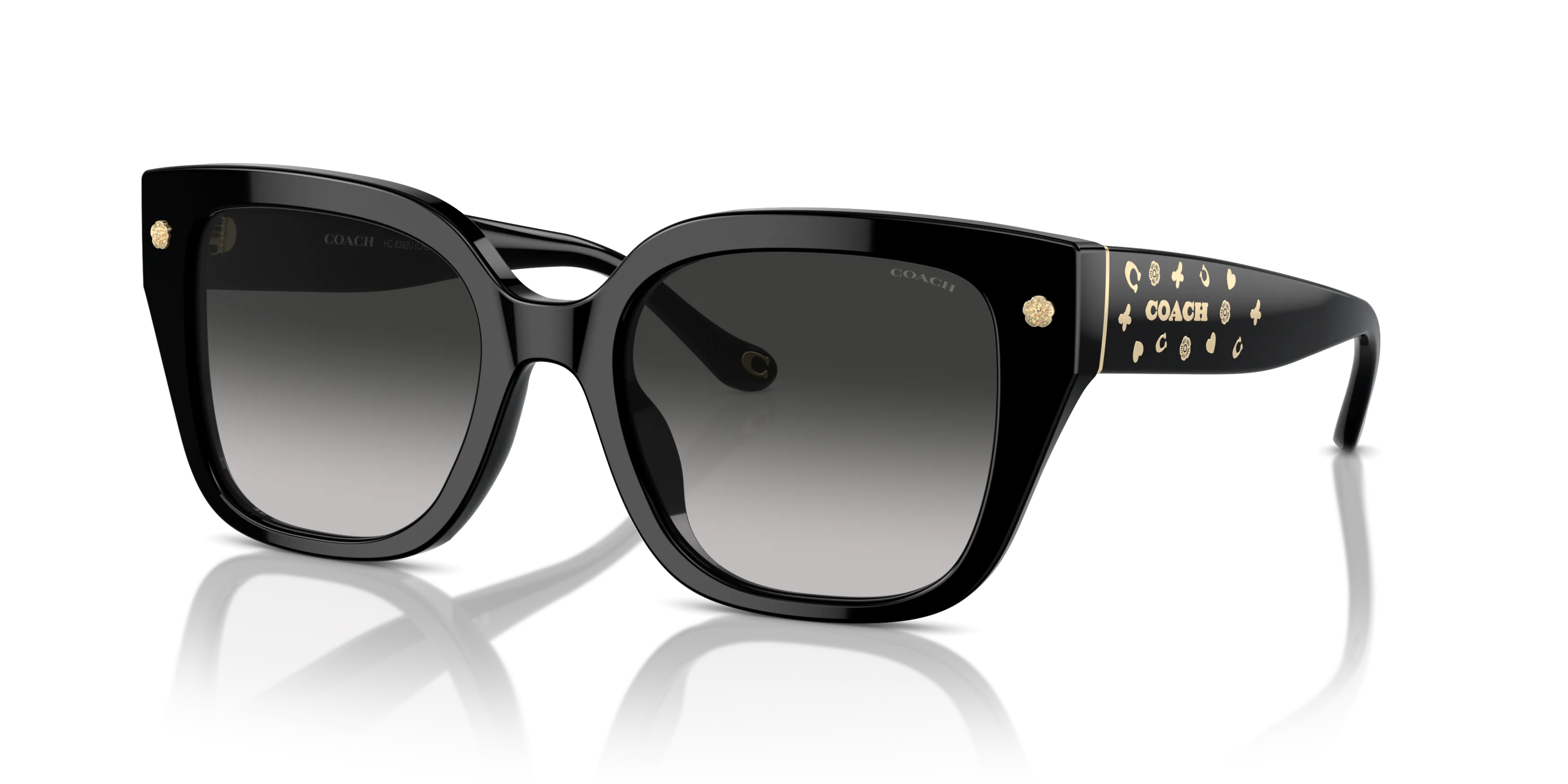 Angle_Left01, COACH HC8392U 50023C