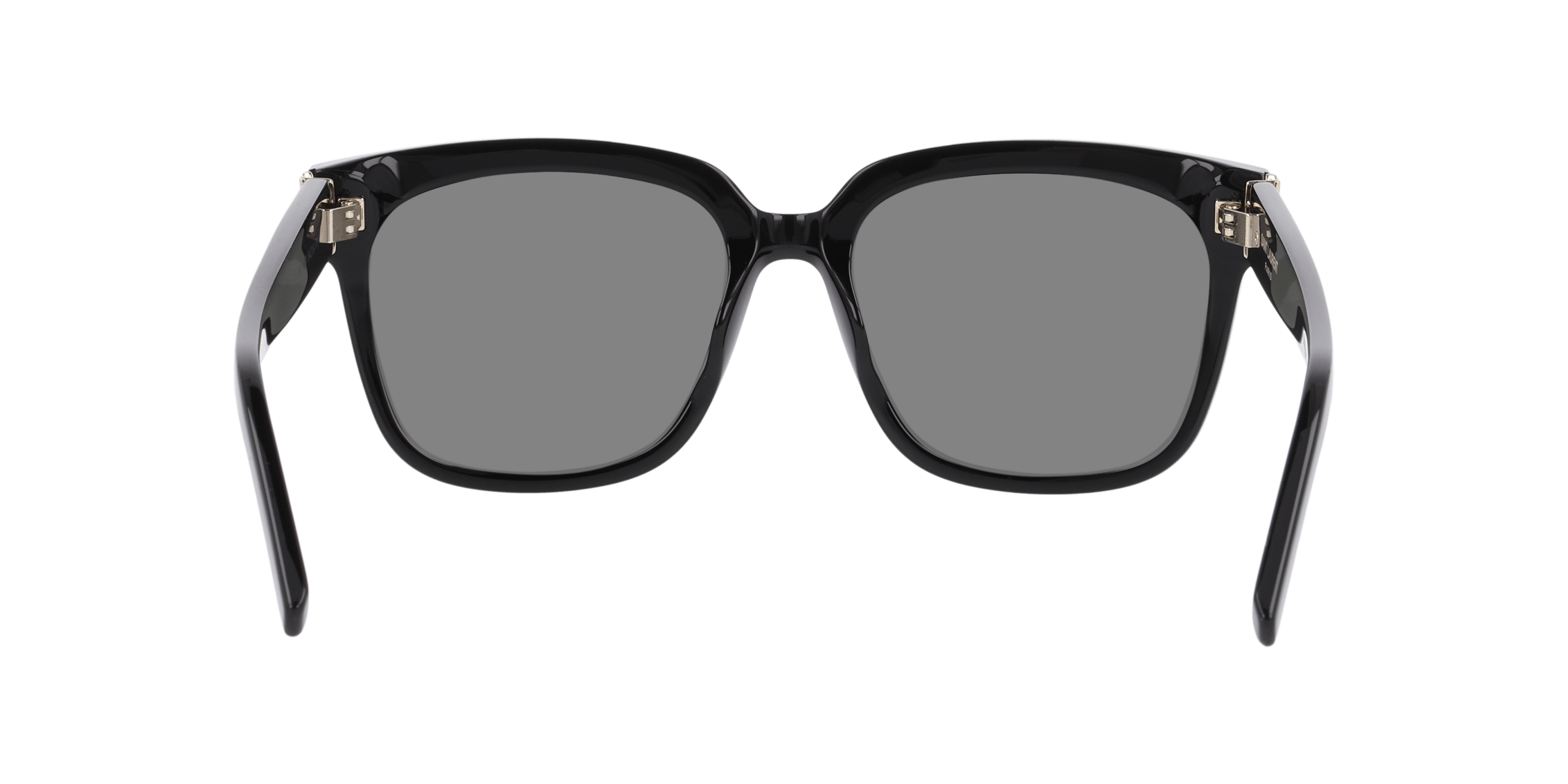 Detail02, SAINT LAURENT SL M40 3
