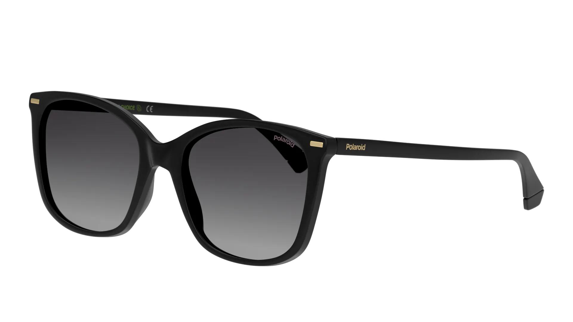 Angle_Left01, Polaroid P4000418 807