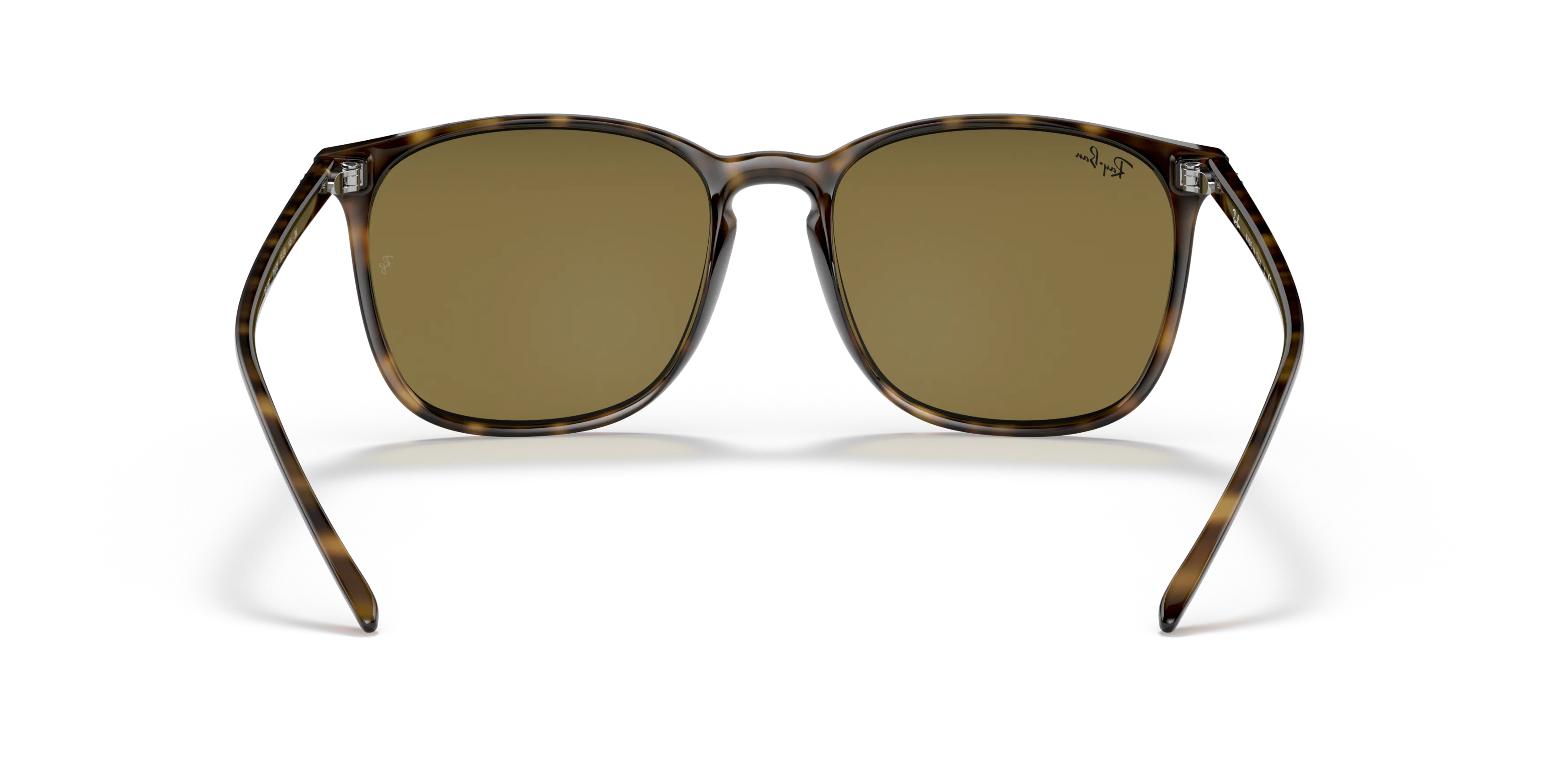 Detail02, Ray-Ban RB 4387 Sunglasses
