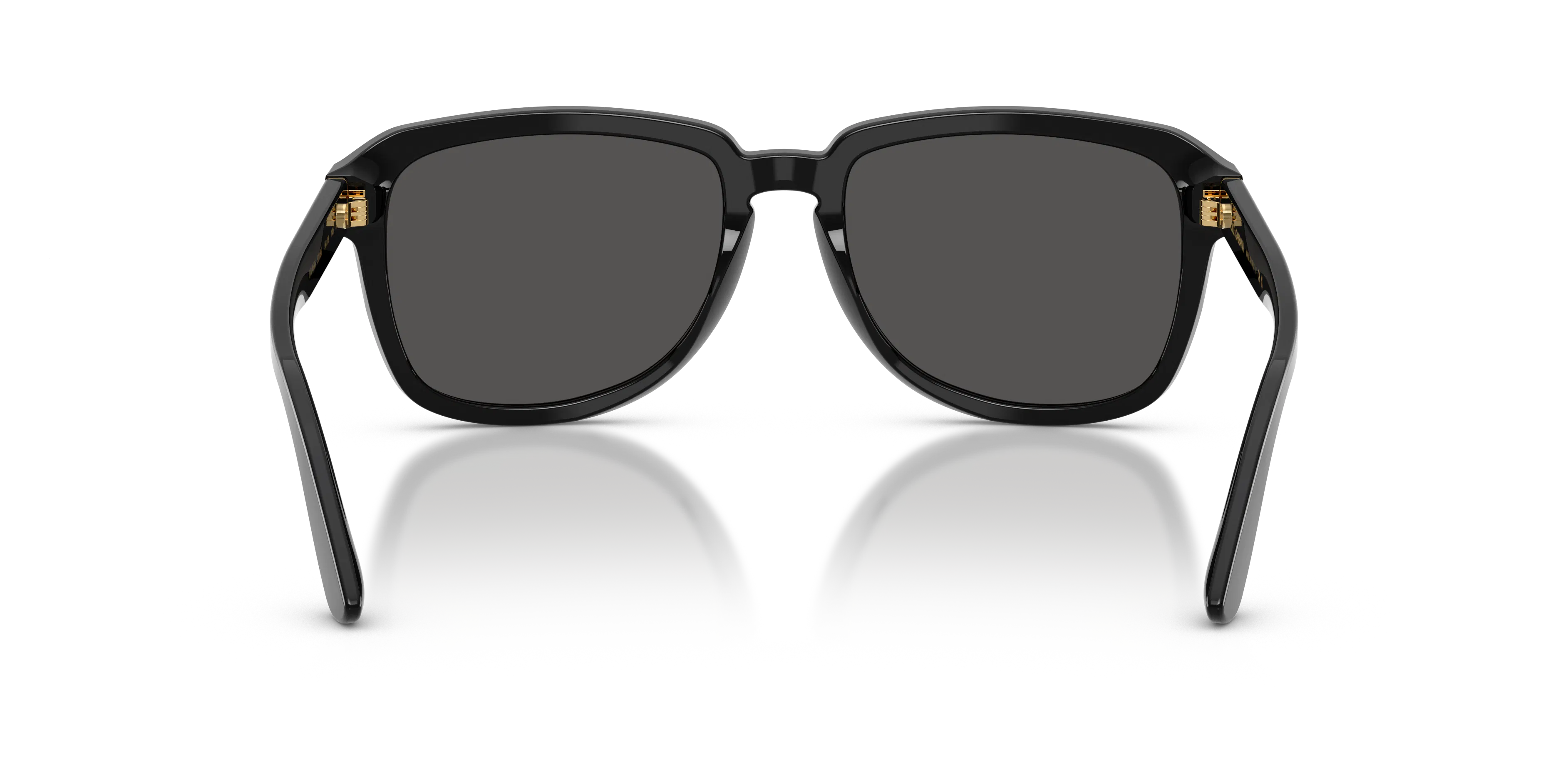 Detail02, Dolce & Gabbana DG 4566 Sunglasses