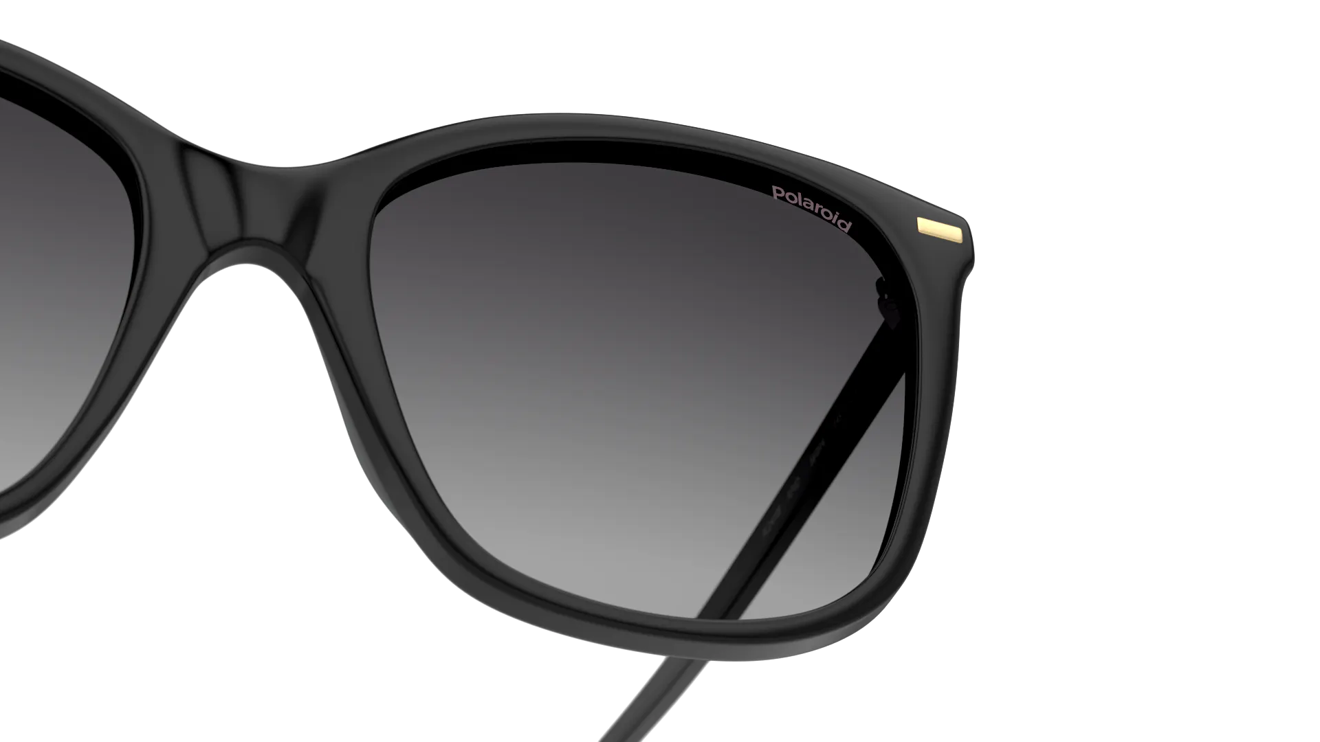 Detail01, Polaroid P4000418 807