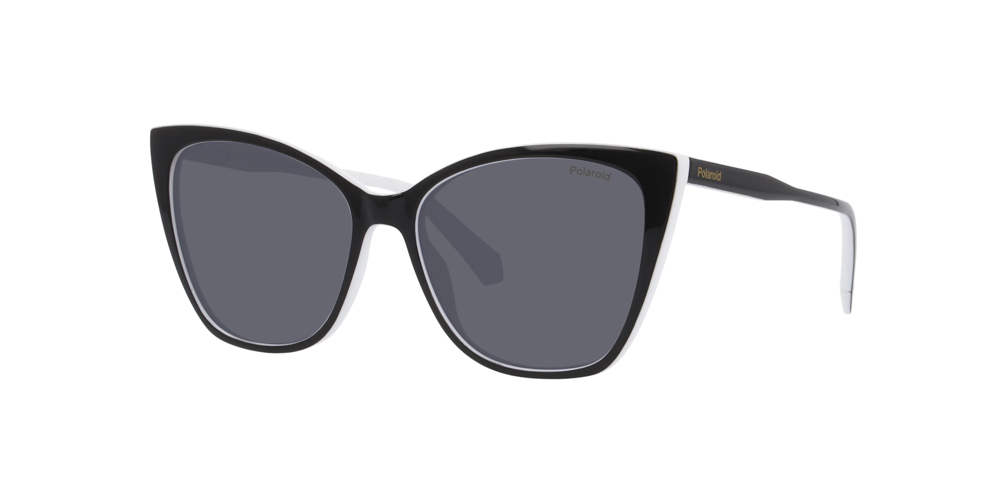 Angle_Left01, Polaroid PLD 4181/S P4000770 1370M1