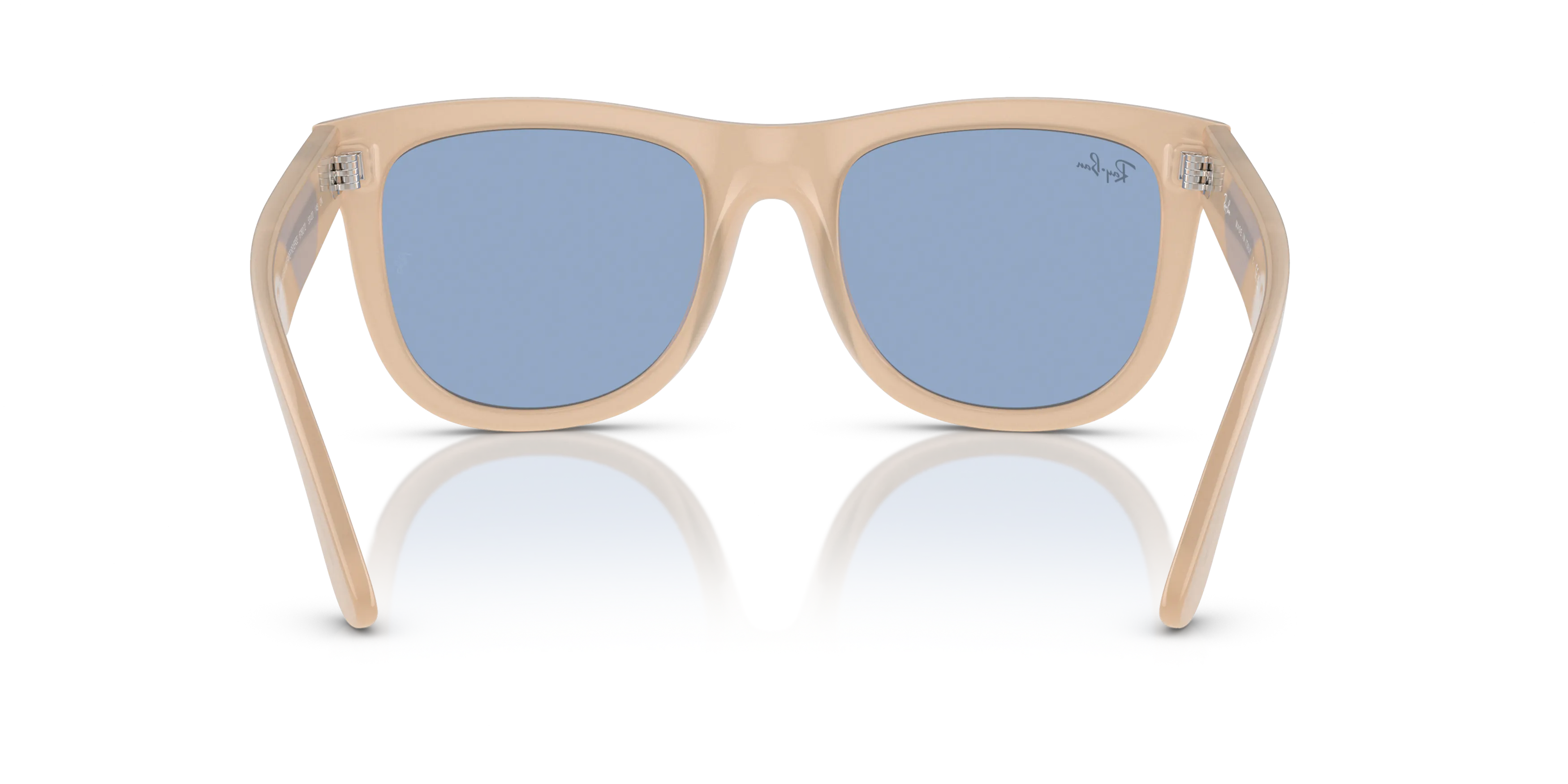 Detail02, Ray-Ban Wayfarer Reverse RBR 0502S Sunglasses