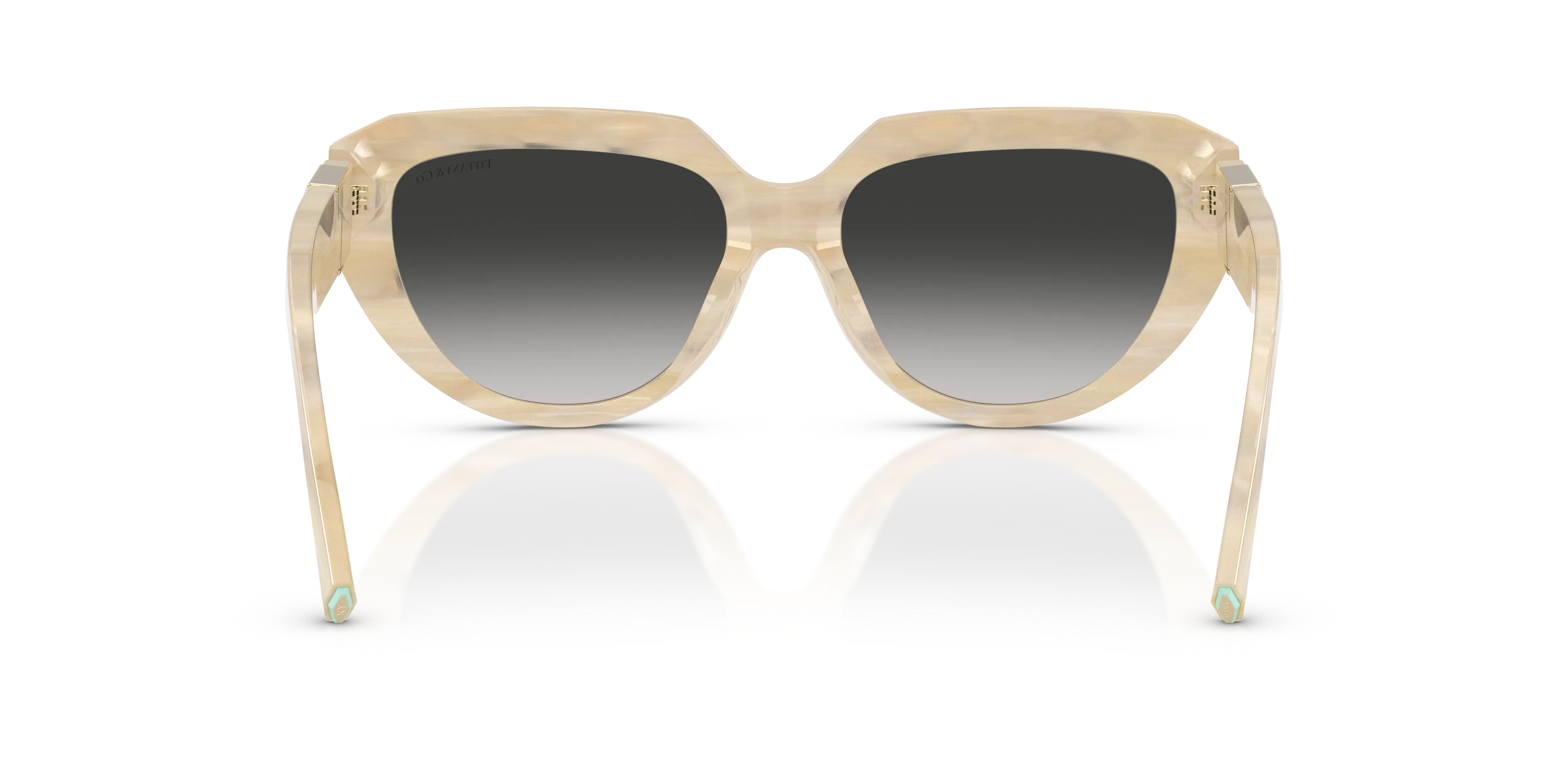 Detail02, Tiffany & Co TF 4238U Sunglasses