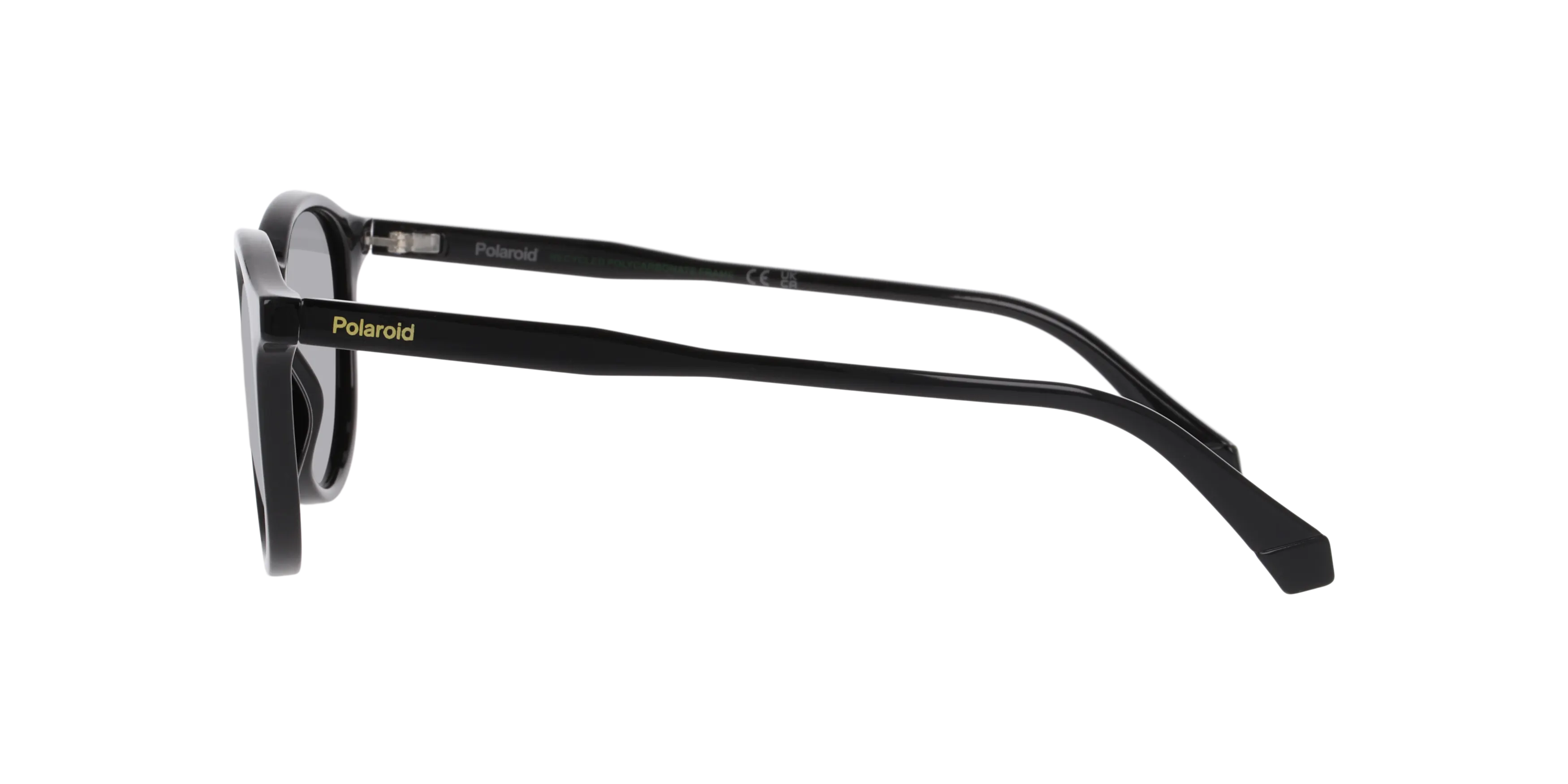 Angle_Left02, Polaroid PLD 4191/S P4000789 1100M1