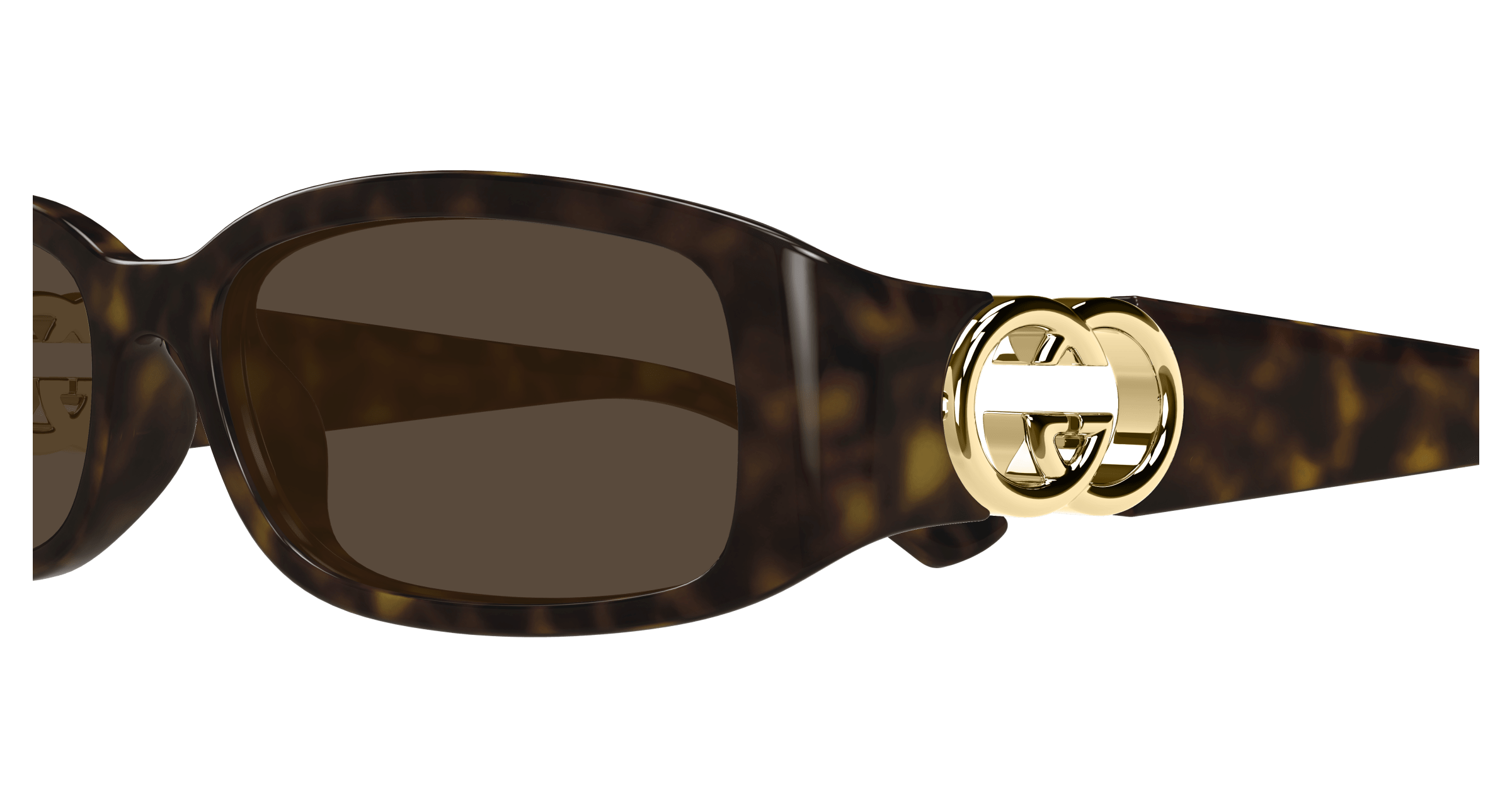 Detail01, Gucci GG1661S Sunglasses