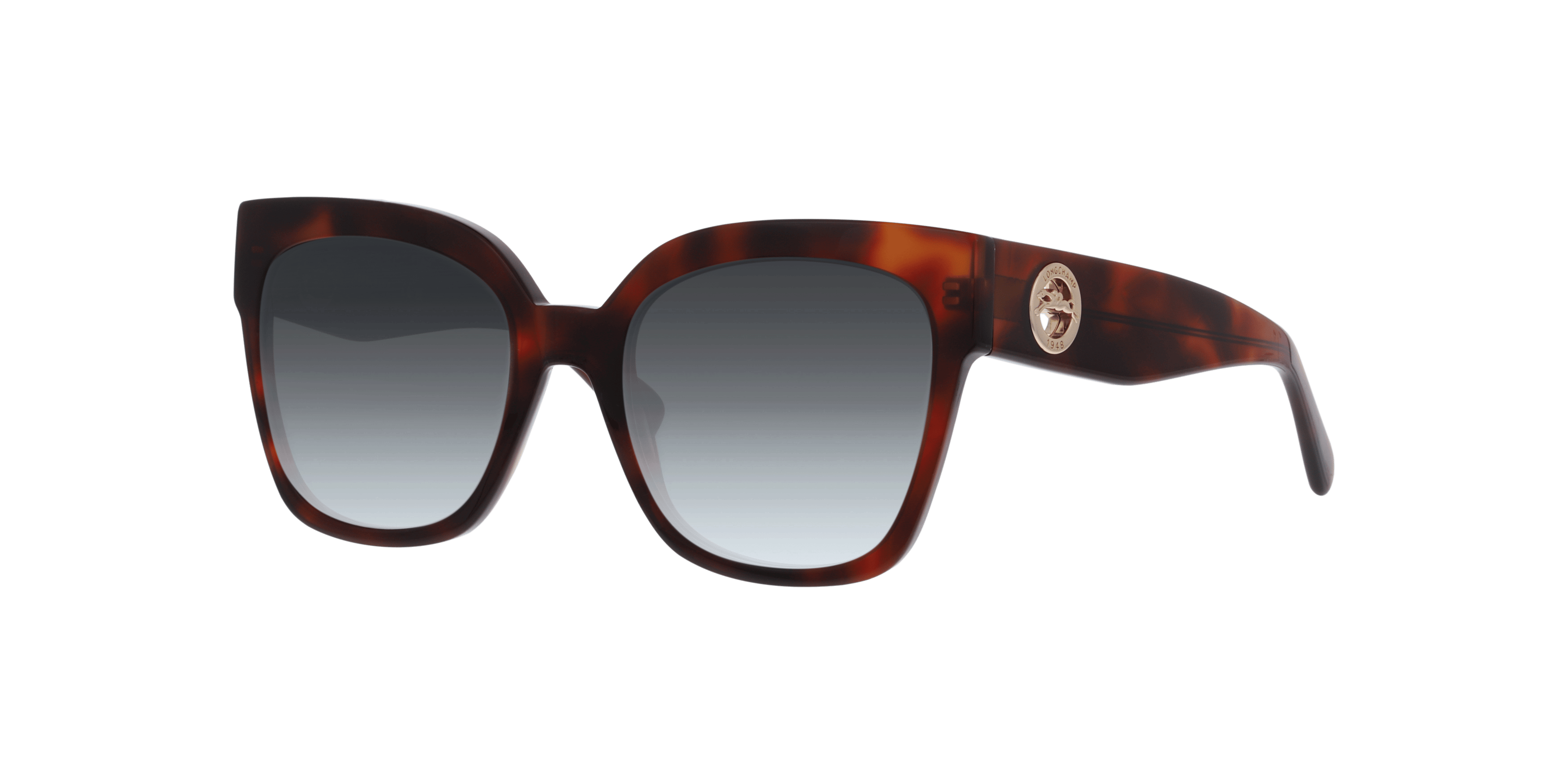 Angle_Left01, LONGCHAMP LO717SN 230