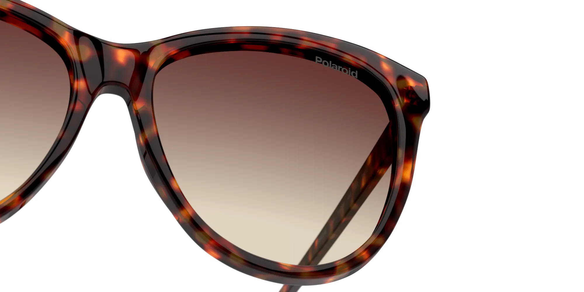 Detail01, Polaroid P4000483 86