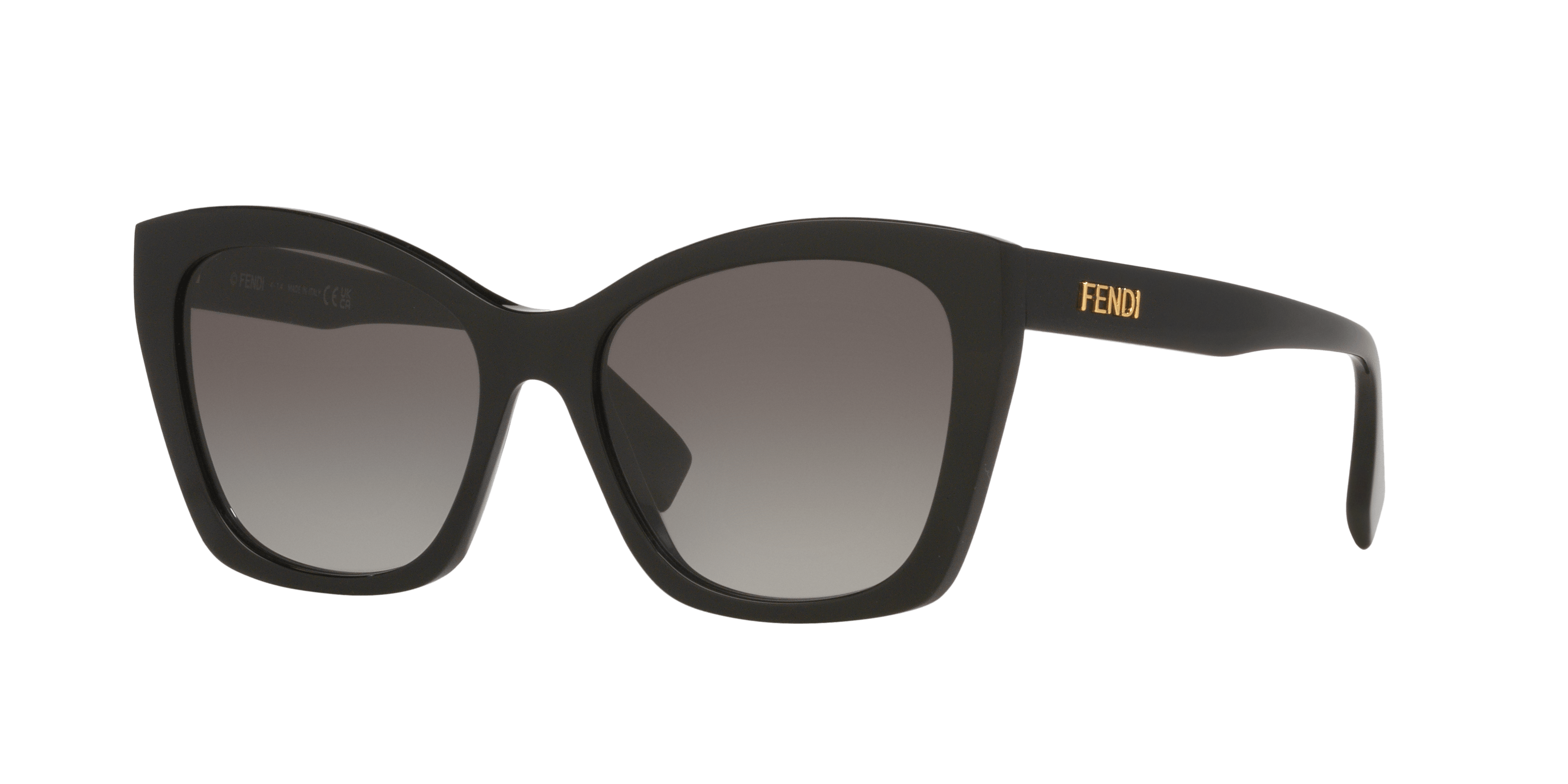 Angle_Left01, Fendi FN000806