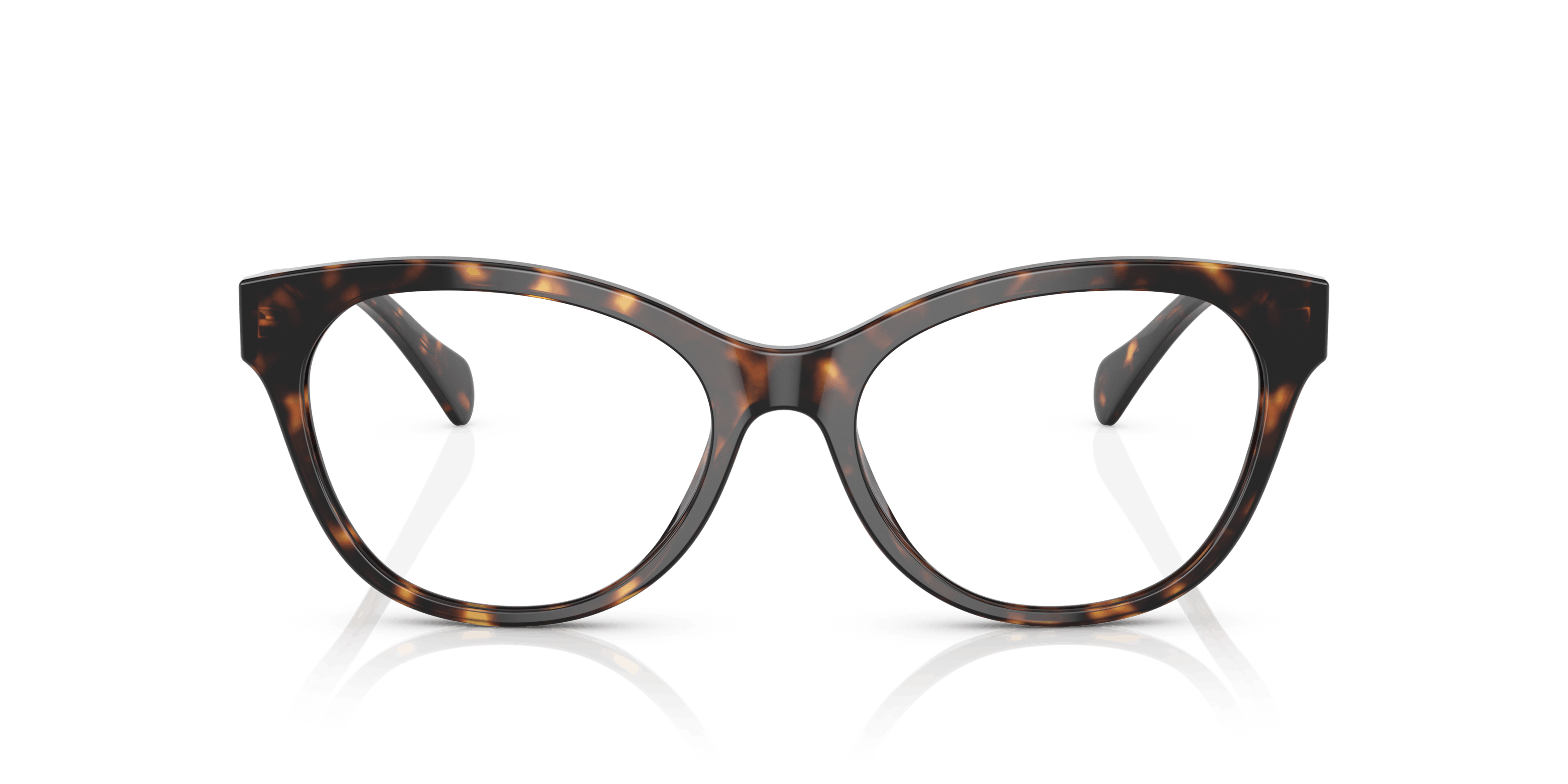Front, Ralph RA7141 5003