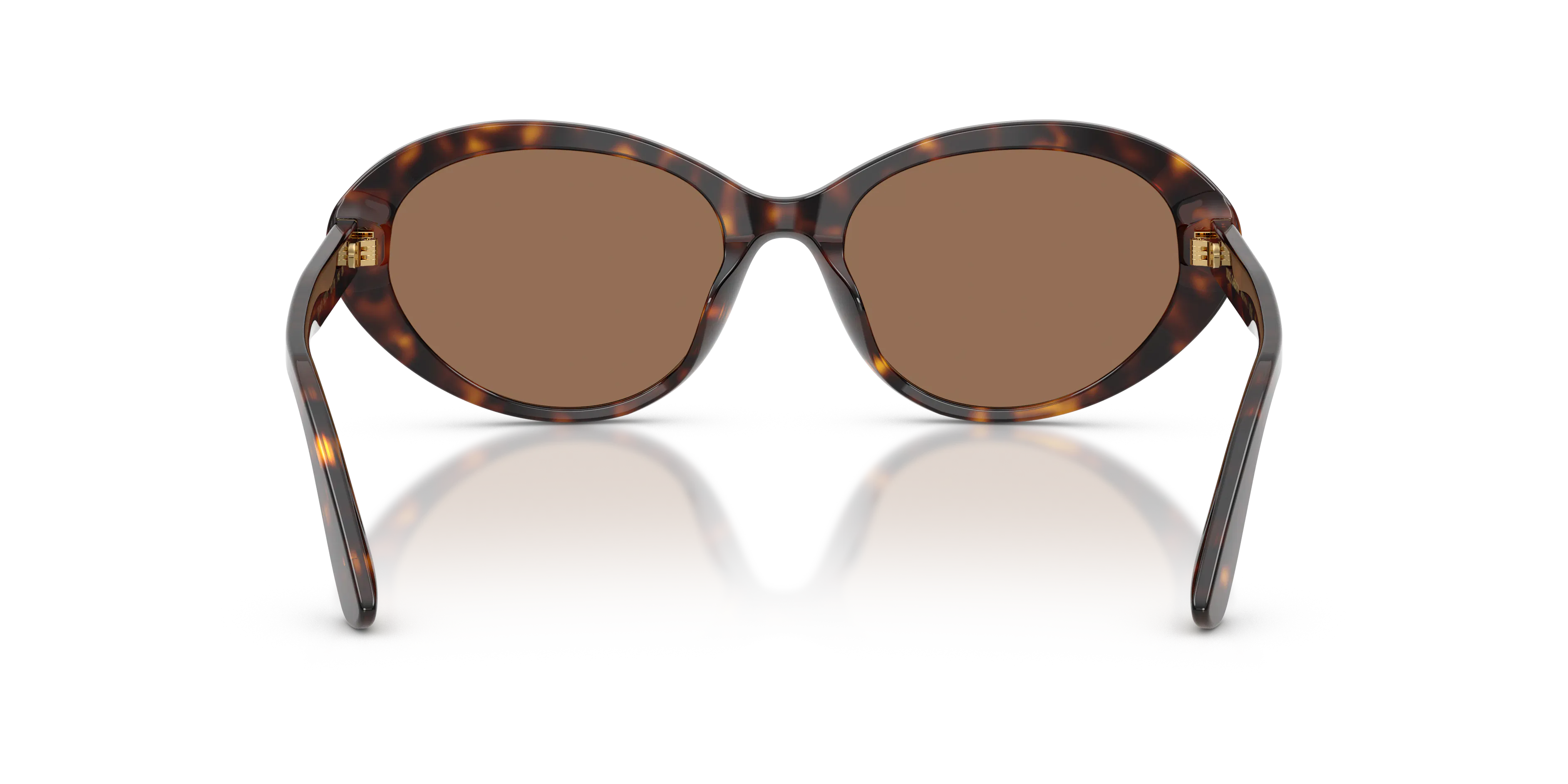 Detail02, Dolce & Gabbana DG 4570 Sunglasses