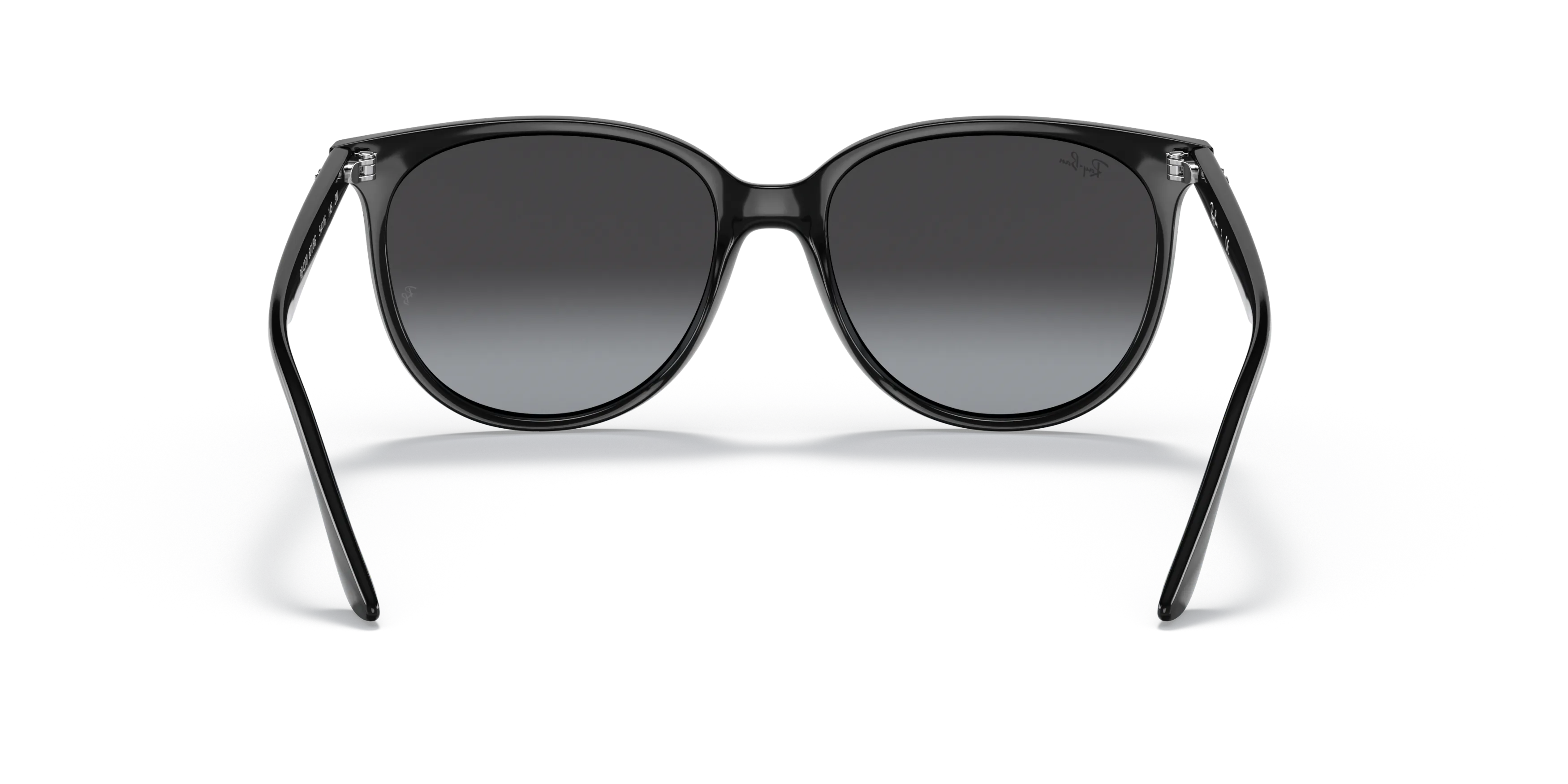 Detail02, Ray-Ban RB 4378 Sunglasses