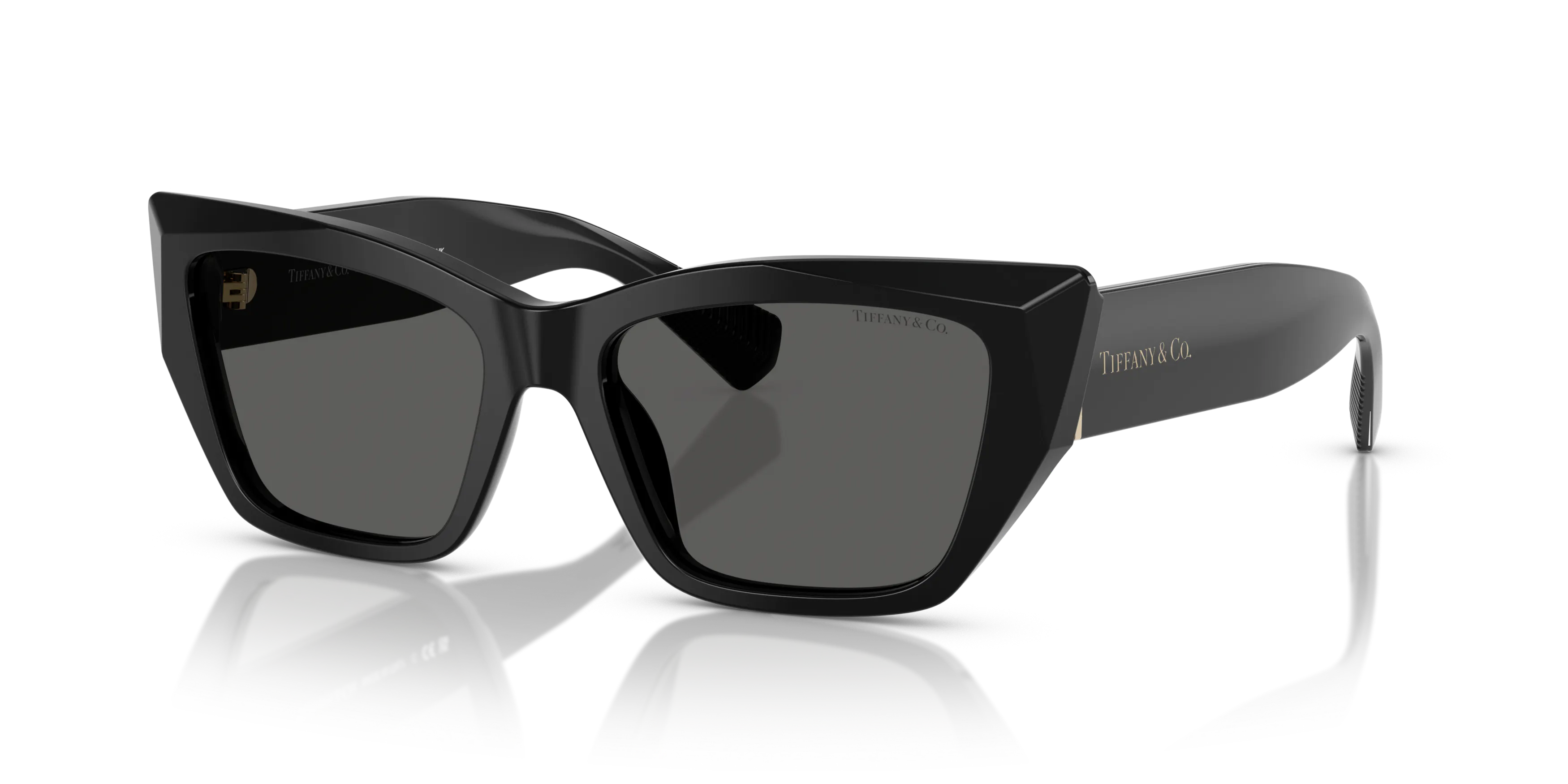 Angle_Left01, Tiffany & Co TF4230 Sunglasses