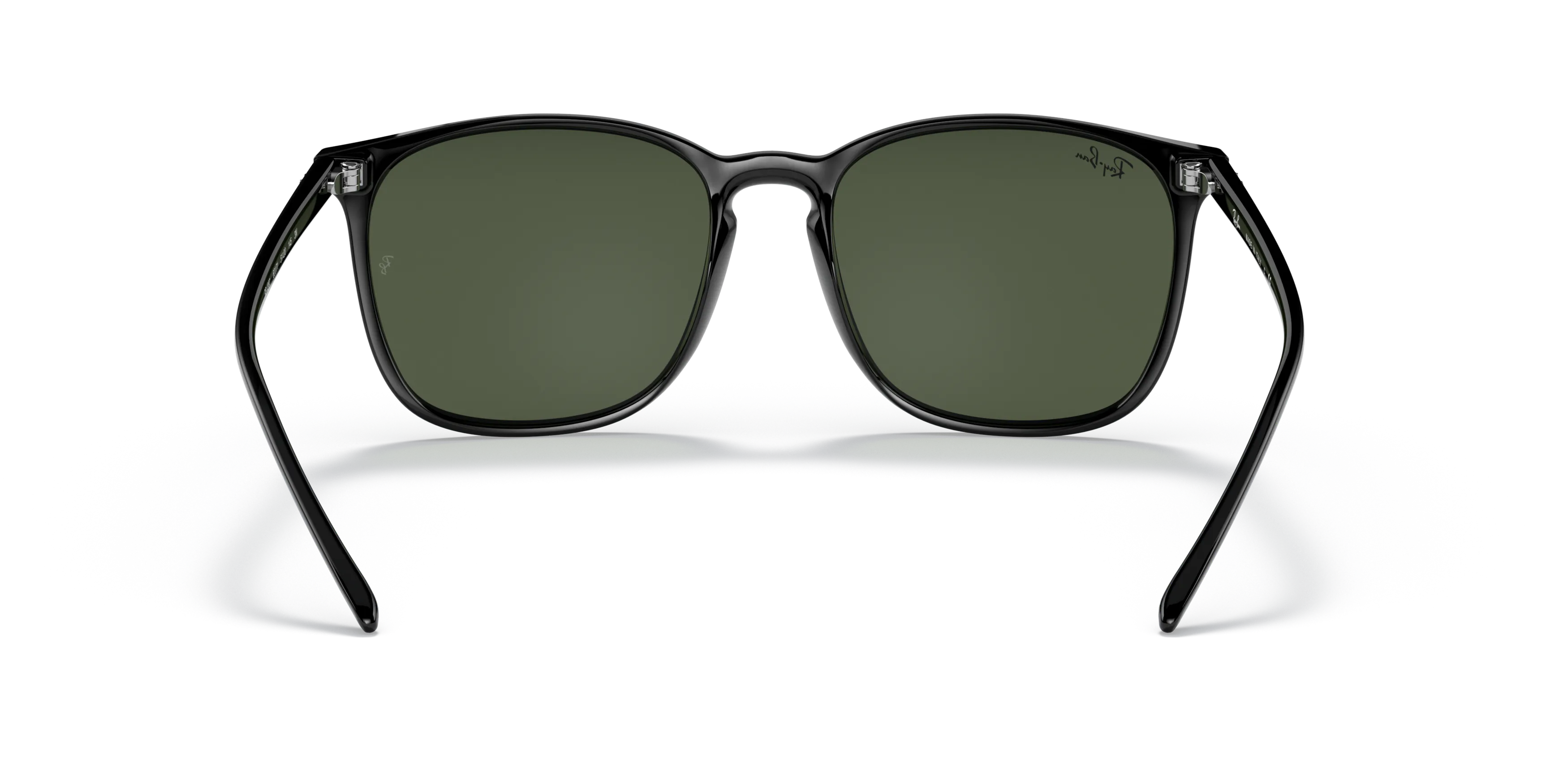 Detail02, Ray-Ban RB 4387 Sunglasses