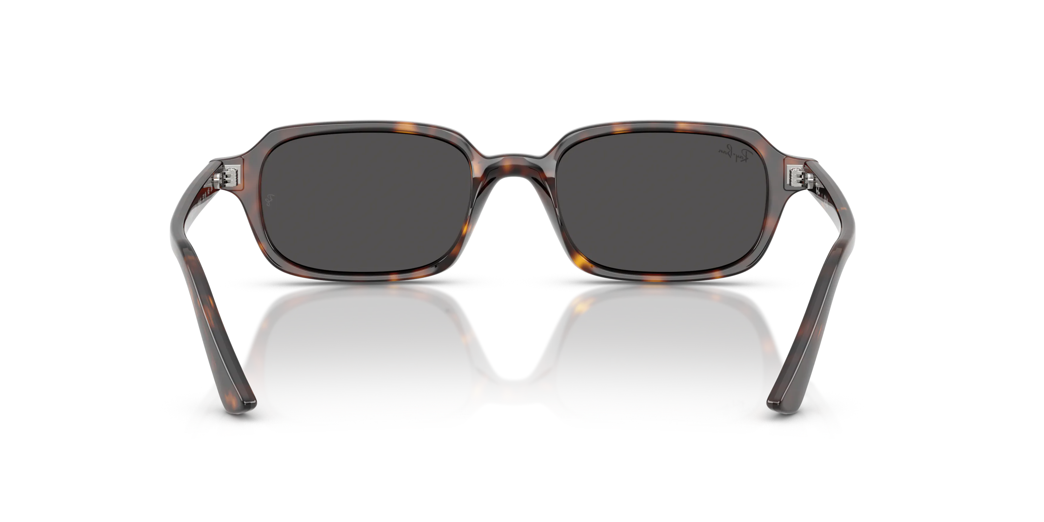 Detail02, Ray-Ban Zuri Bio-Based RB4455 135987