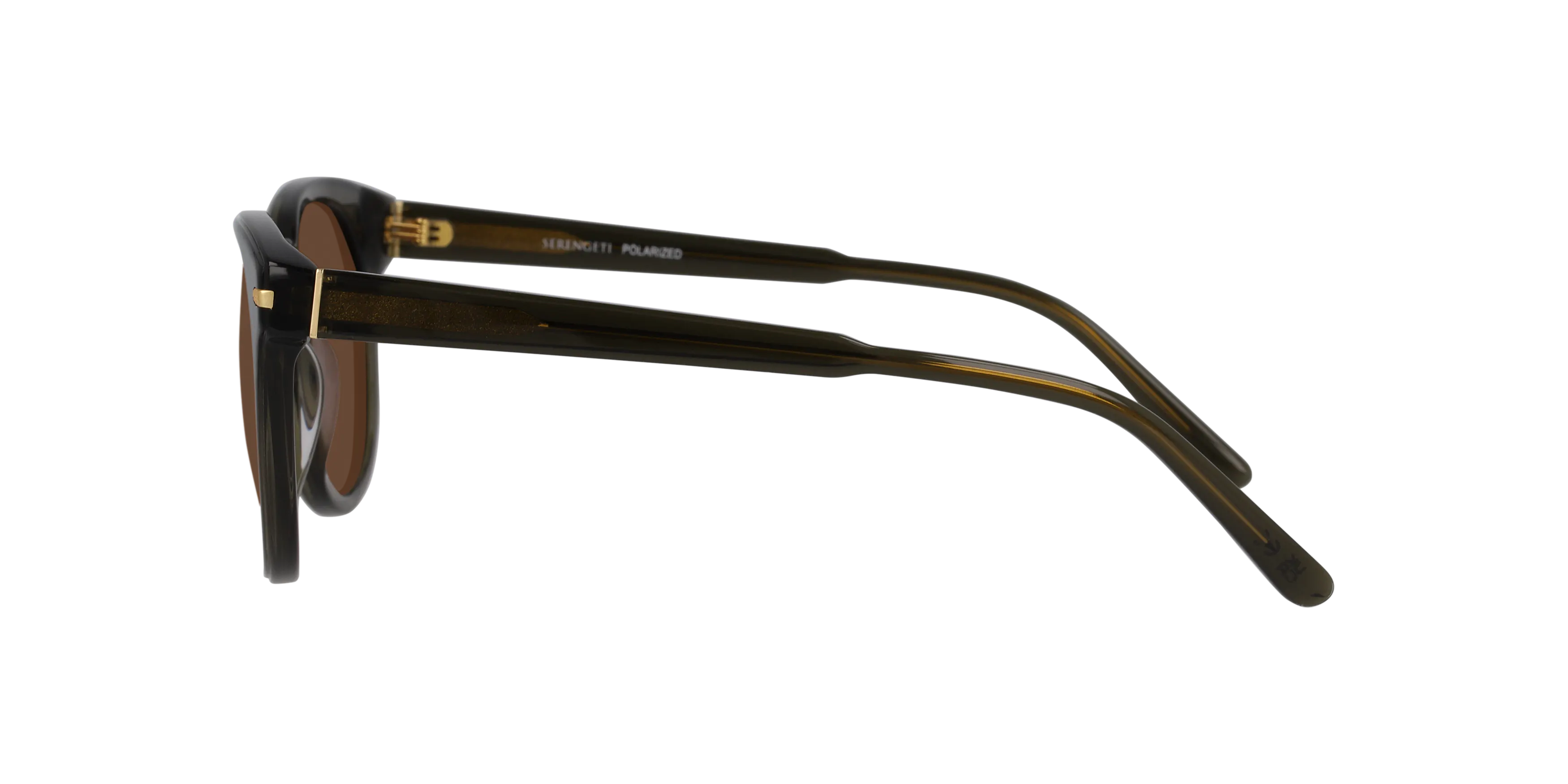 Angle_Left02, Serengeti Havah SS574004