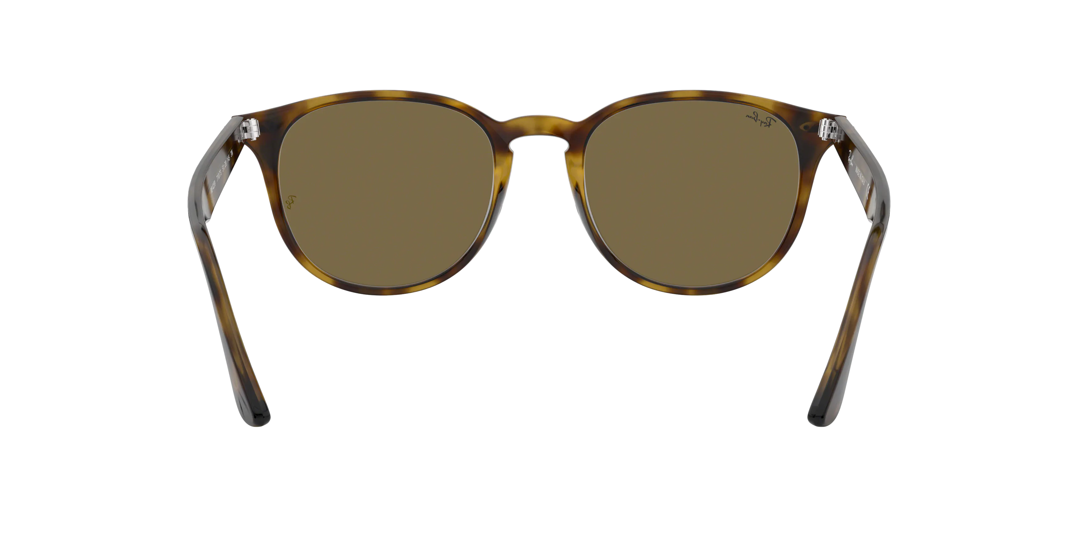 Detail02, Ray-Ban RB 4259 Sunglasses