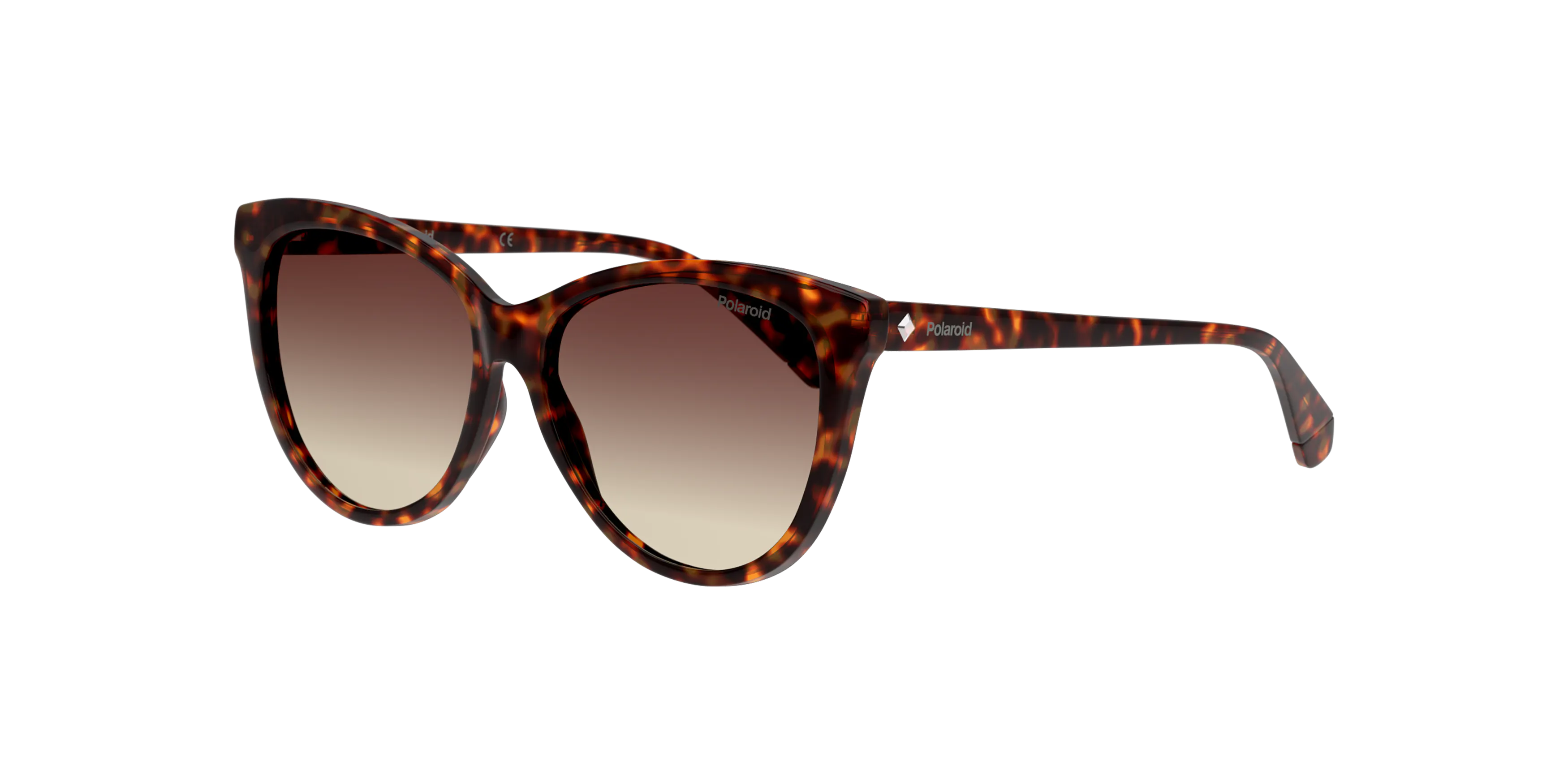 Angle_Left01, Polaroid P4000483 86