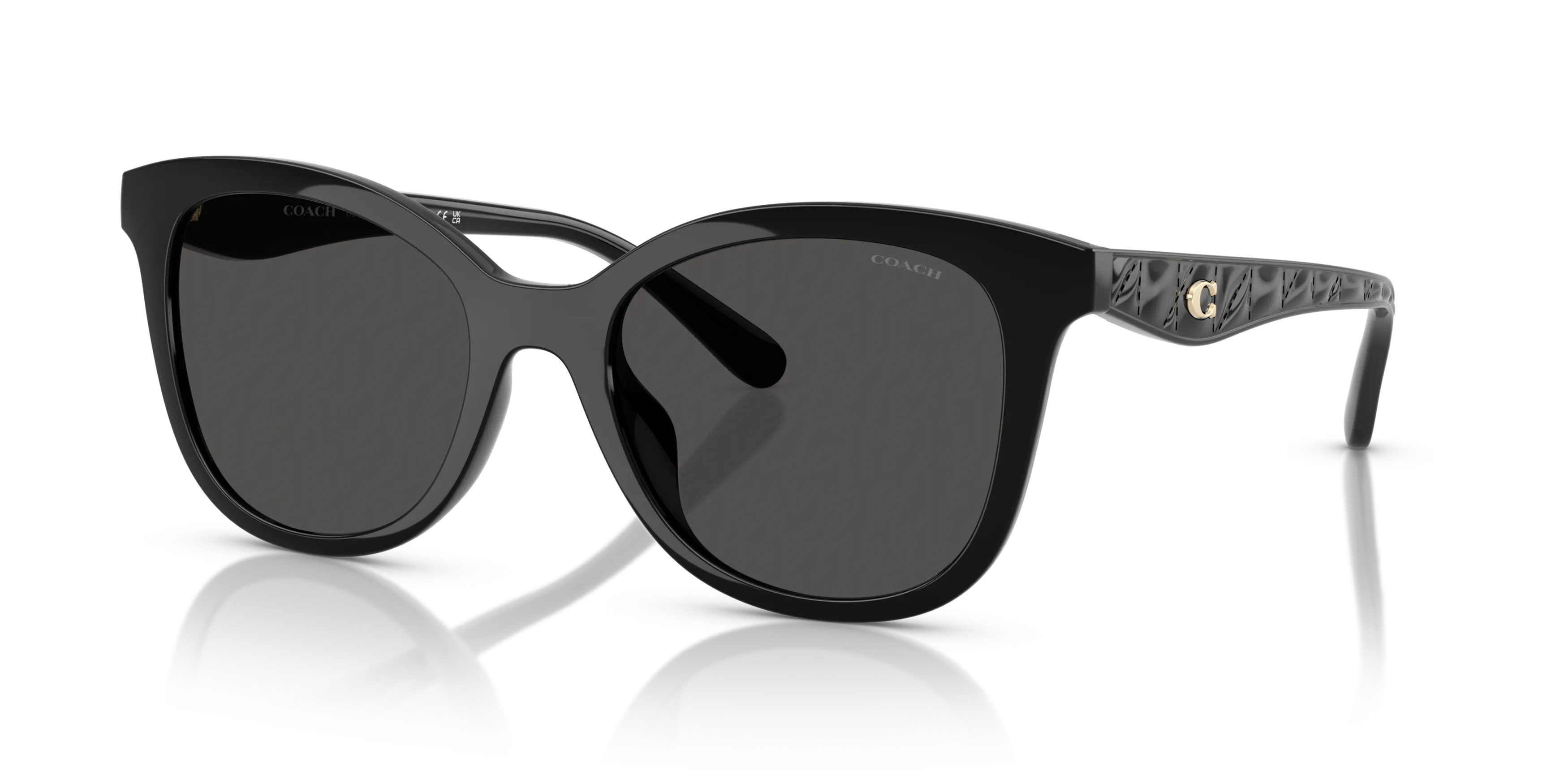 Angle_Left01, Coach HC8419U 55/20