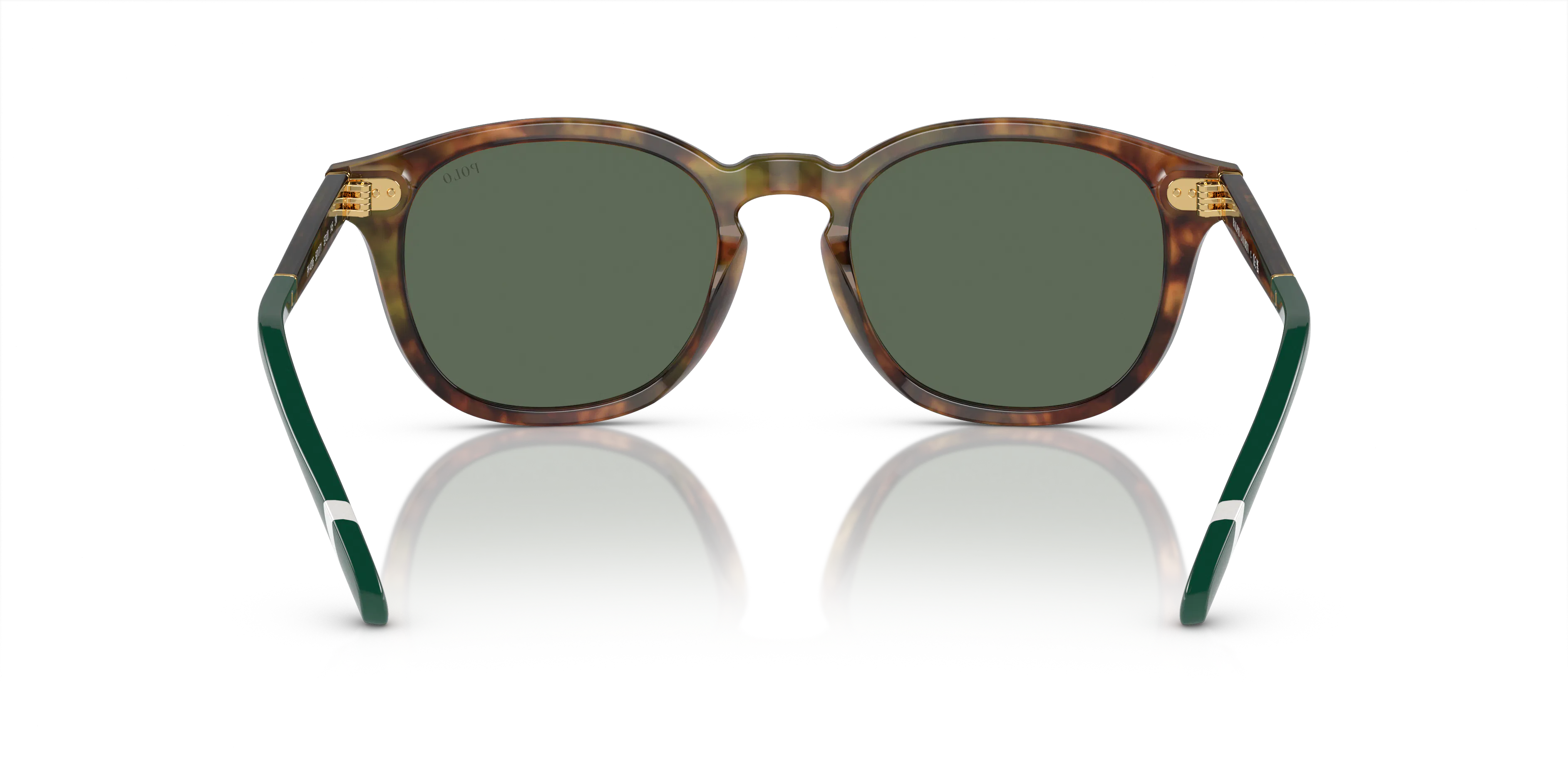 Detail02, Polo Ralph Lauren PH 4206 Sunglasses