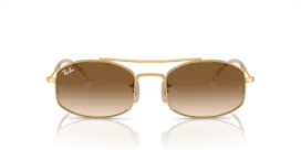 Ray-Ban 0RB3719 001/51 Solglasögon