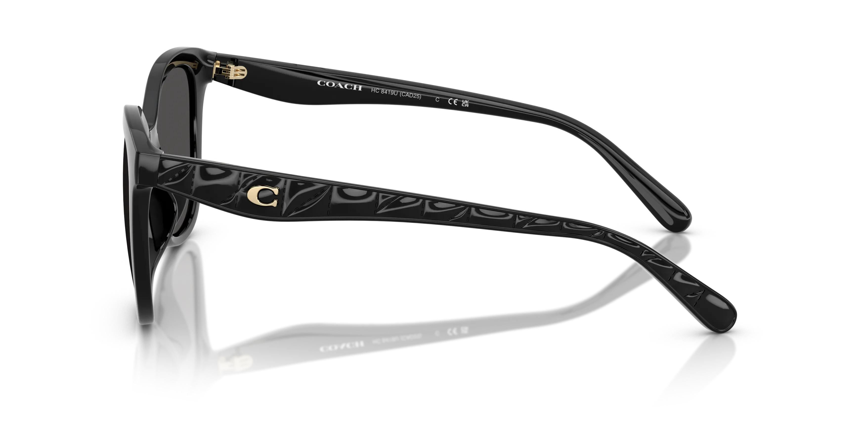 Angle_Left02, Coach HC8419U 55/20