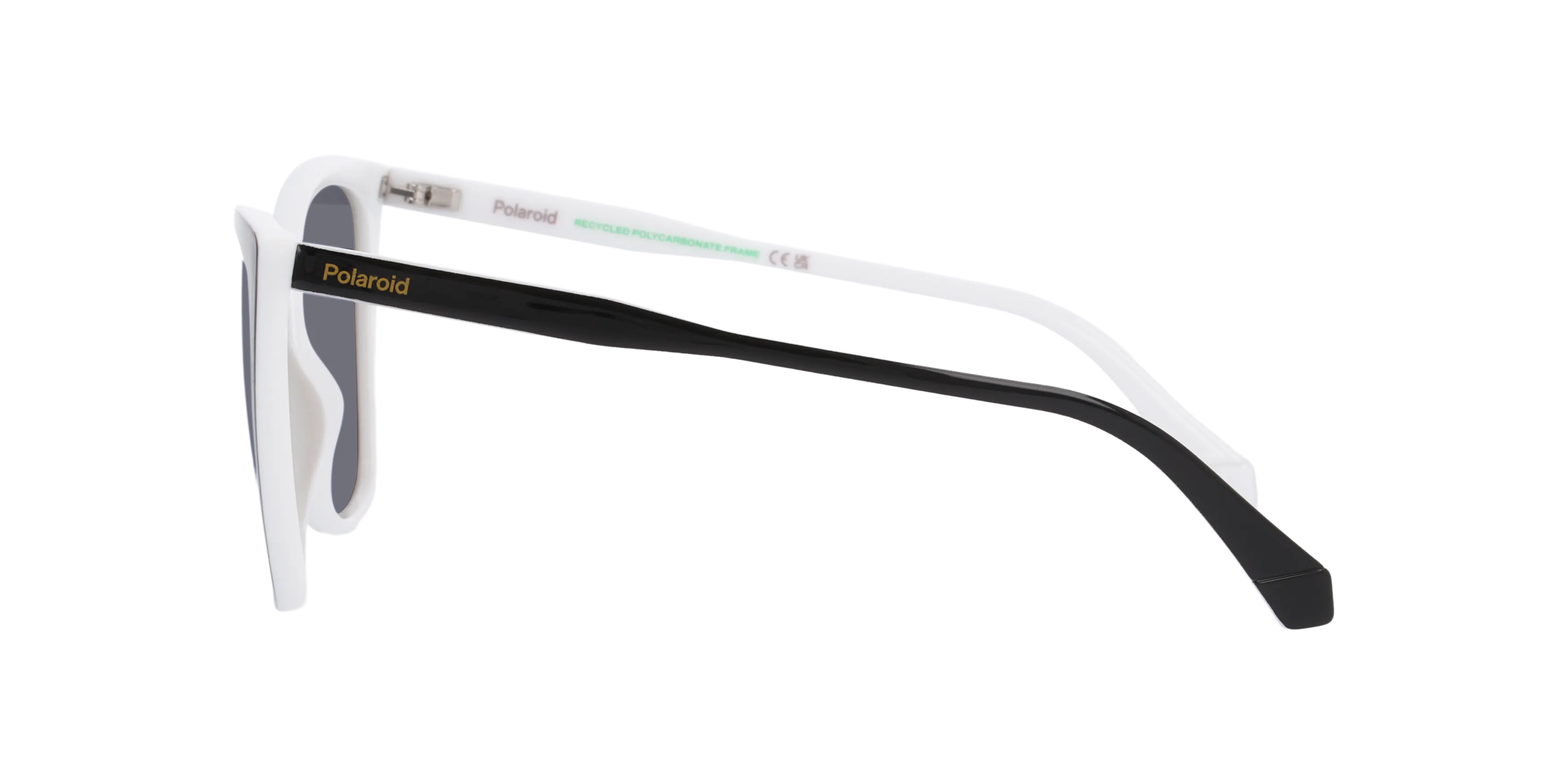 Angle_Left02, Polaroid PLD 4181/S P4000770 1370M1