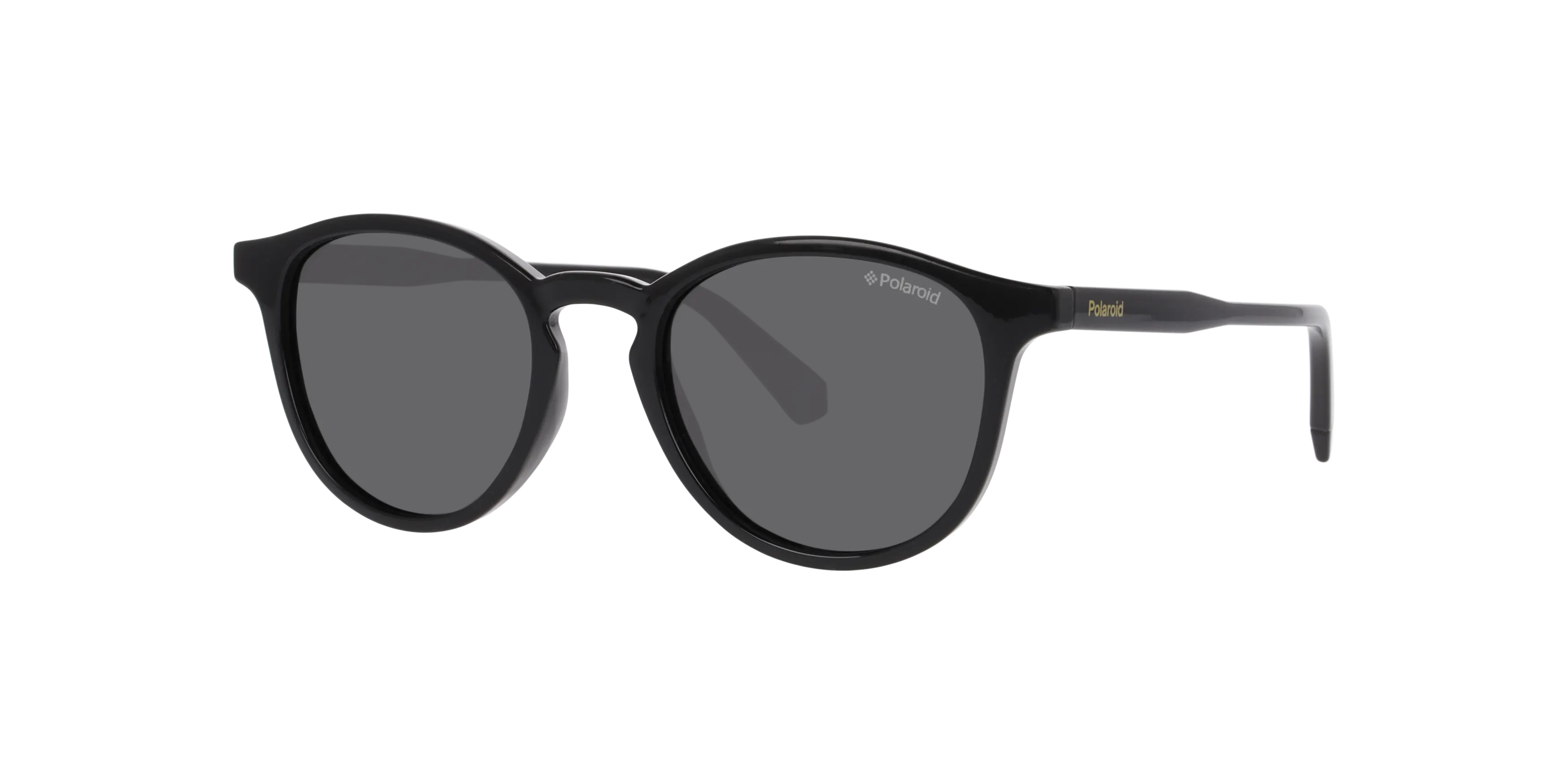 Angle_Left01, Polaroid PLD 4191/S P4000789 1100M1