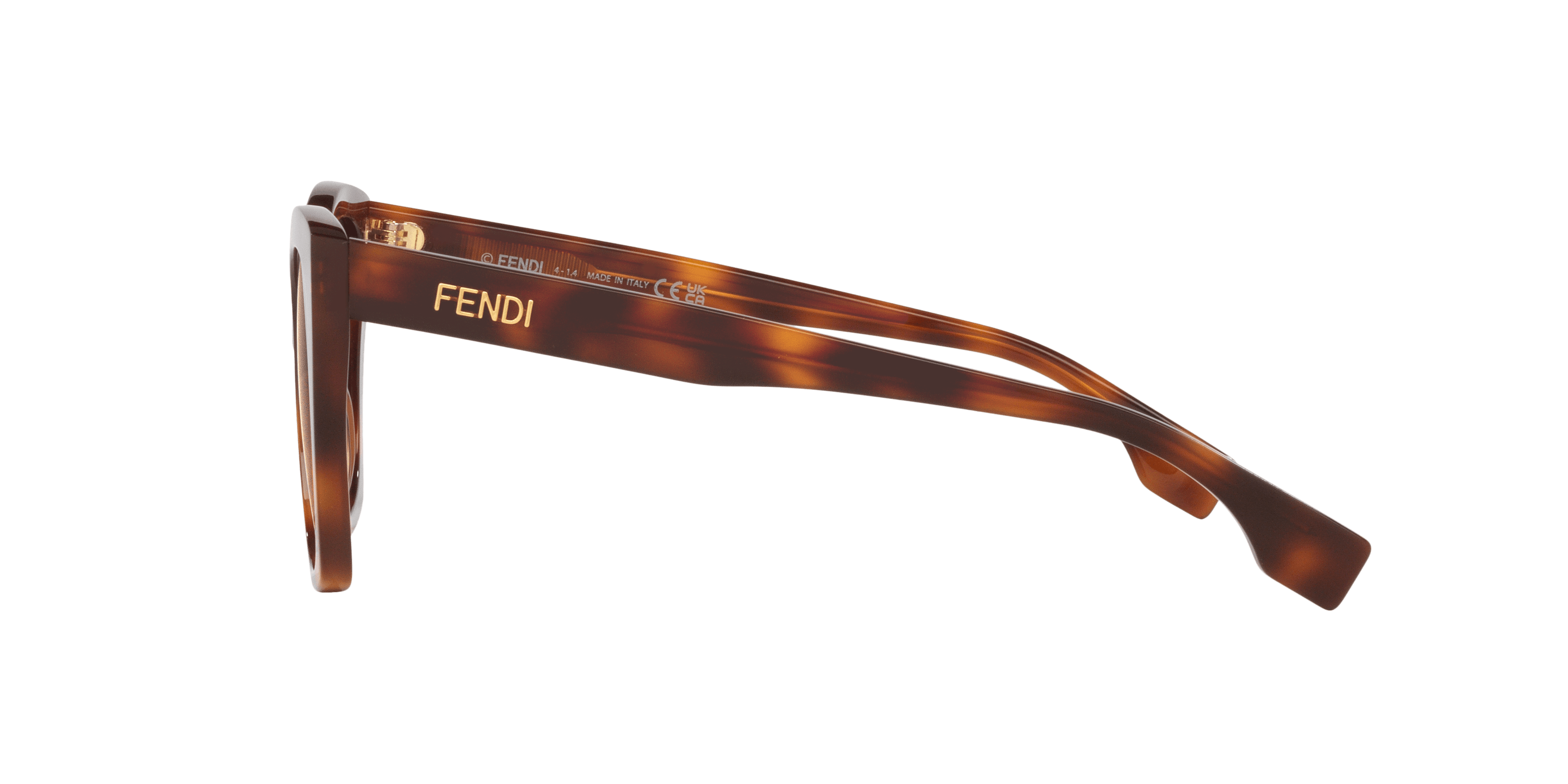 Angle_Left02, Fendi FN000806