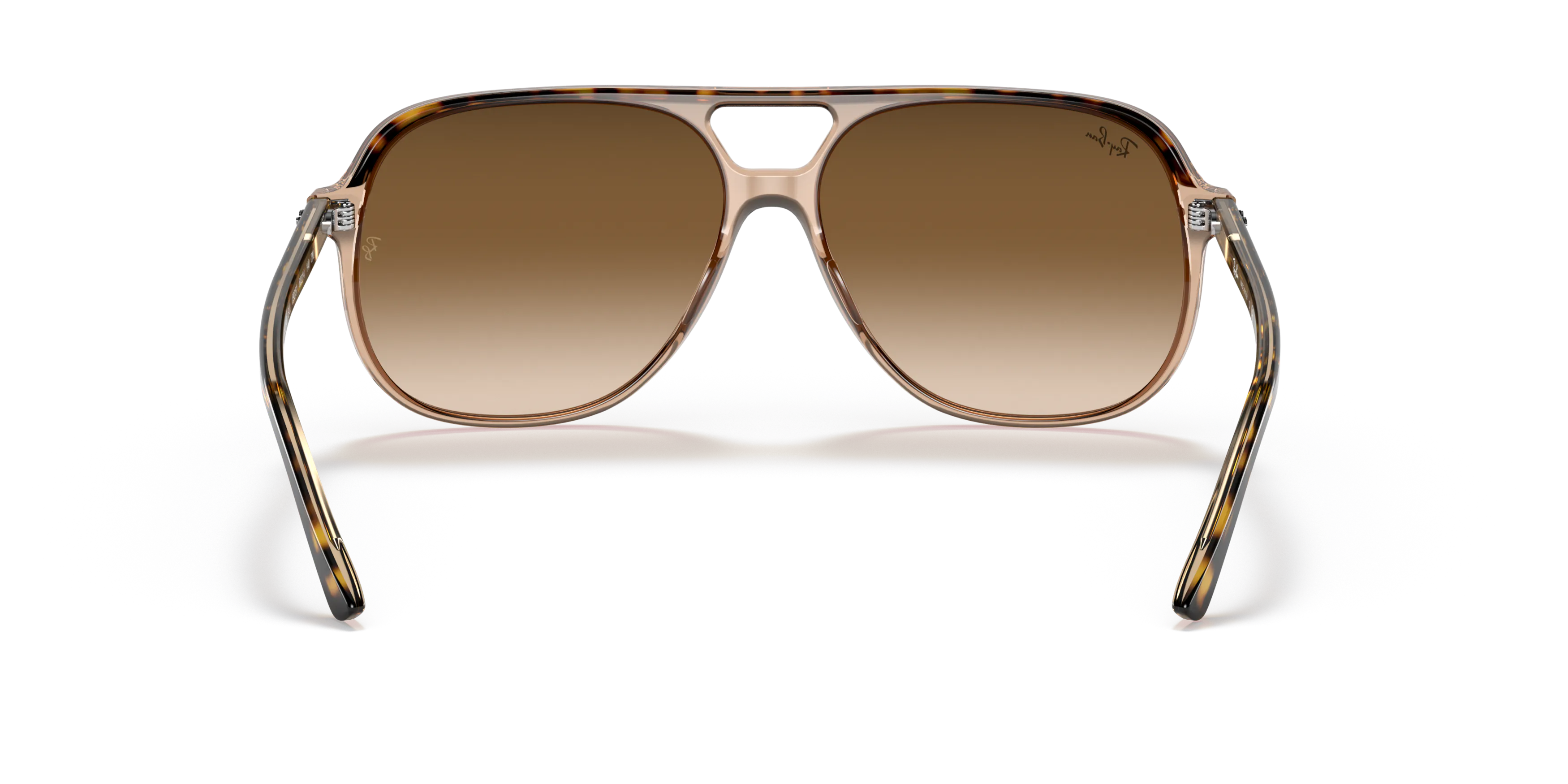 Detail02, Ray-Ban Bill RB 2198 Sunglasses