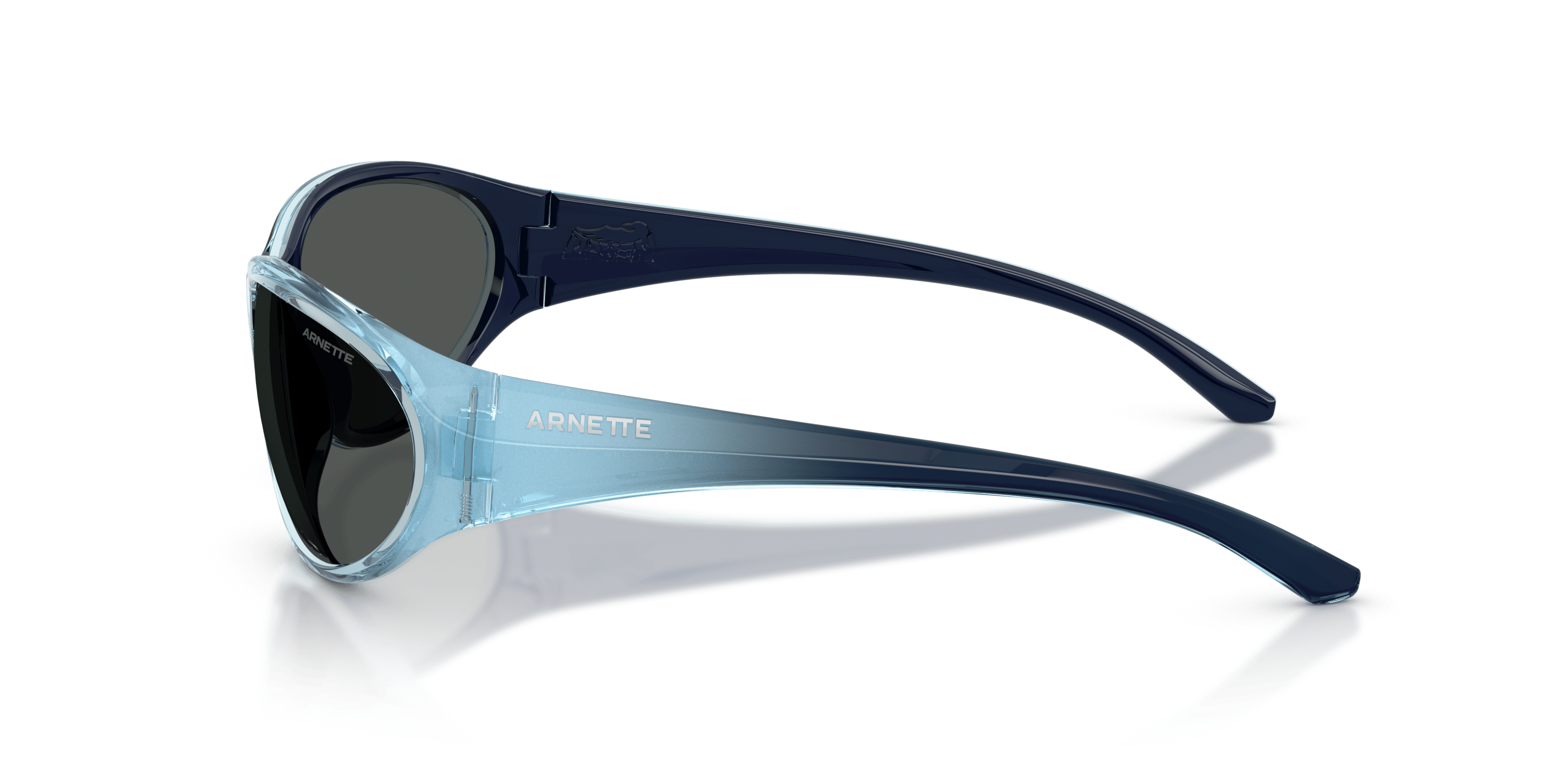 Angle_Left02, Arnette Raven AN4368 303287