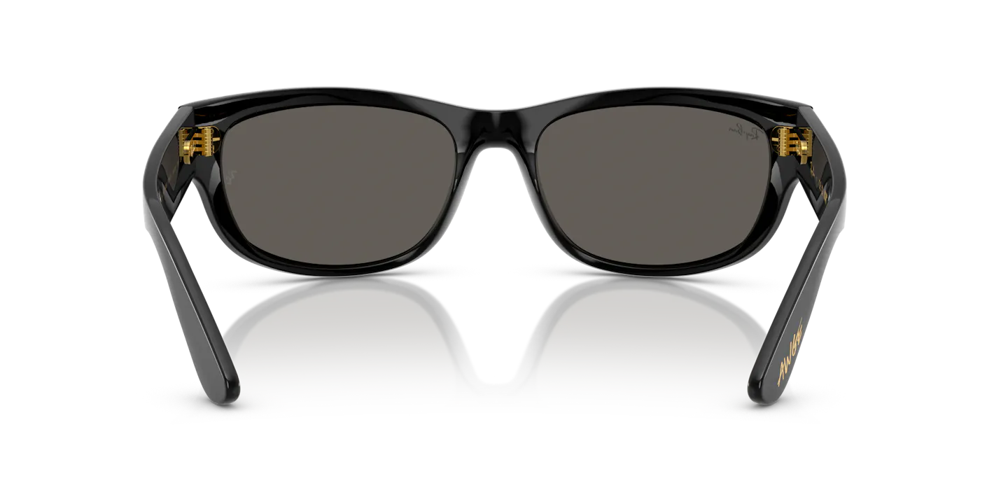Ray-Ban RB 2289 Sunglasses | Vision Express