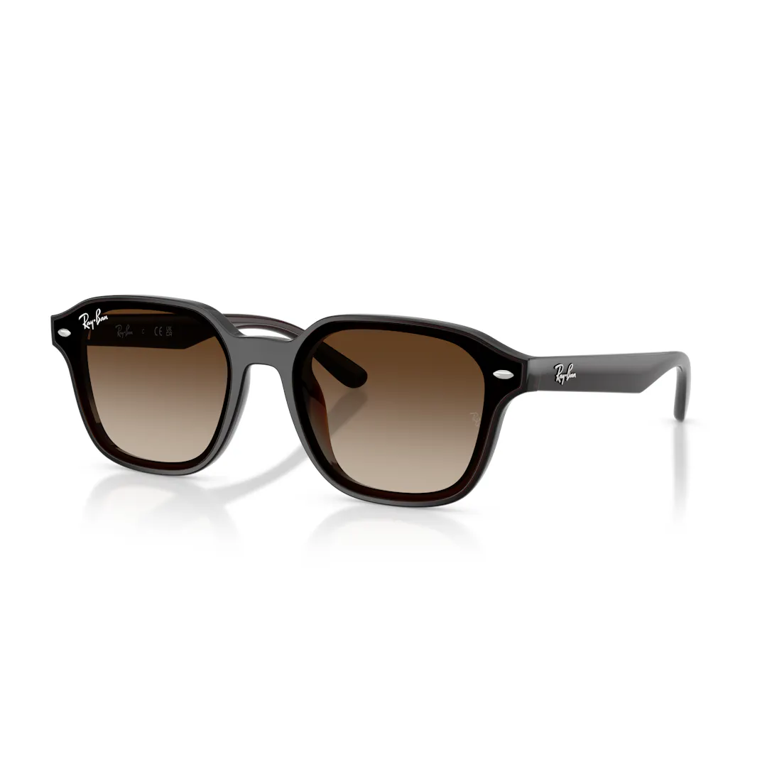 Ray-Ban 0RB4458D Solbriller - Firkantede Brun Ray-Ban 0RB4458D Solbriller - Firkantede Brun