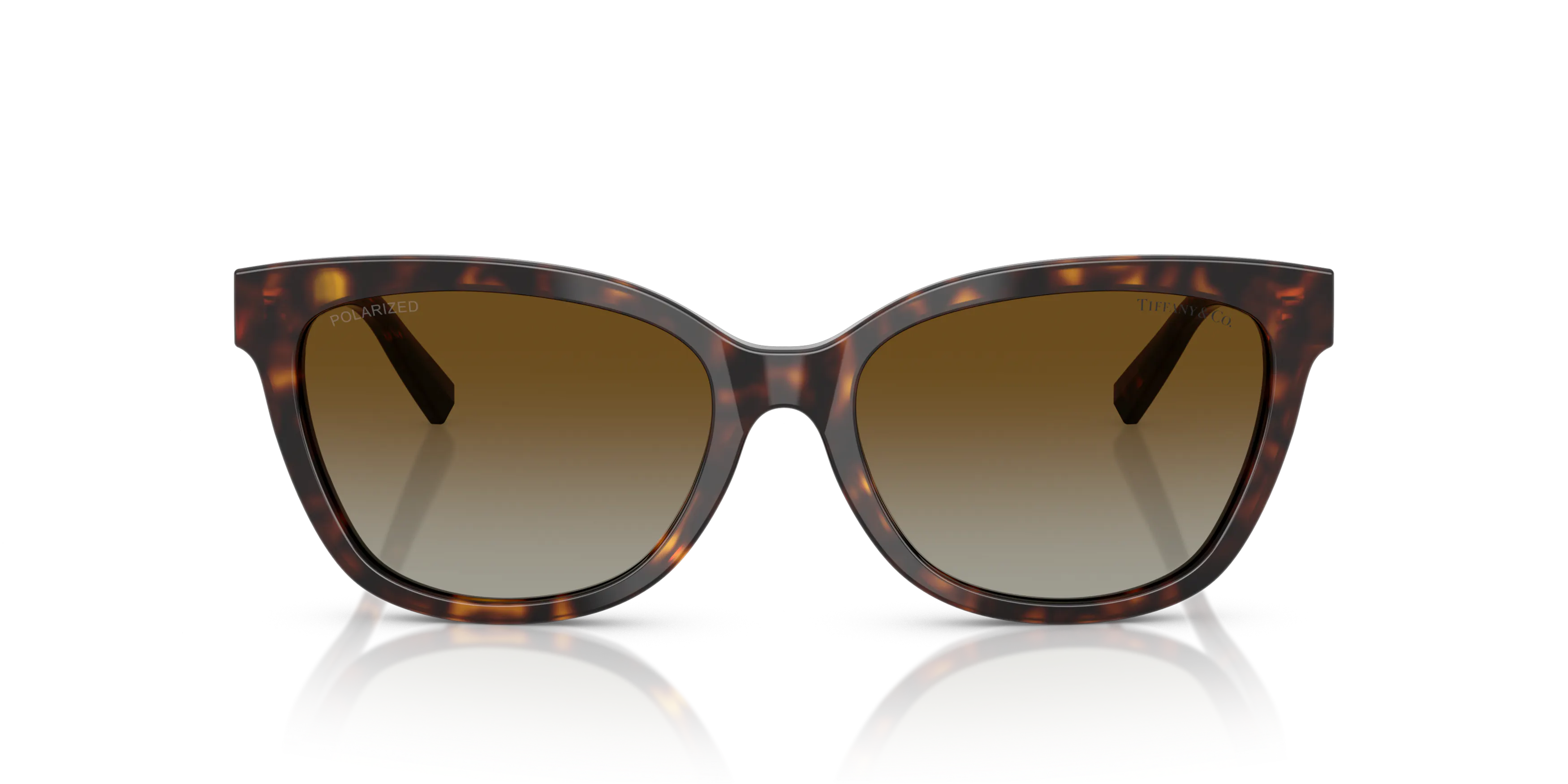 Front, Tiffany & Co. 0TF4237B 8015T5 Solglasögon