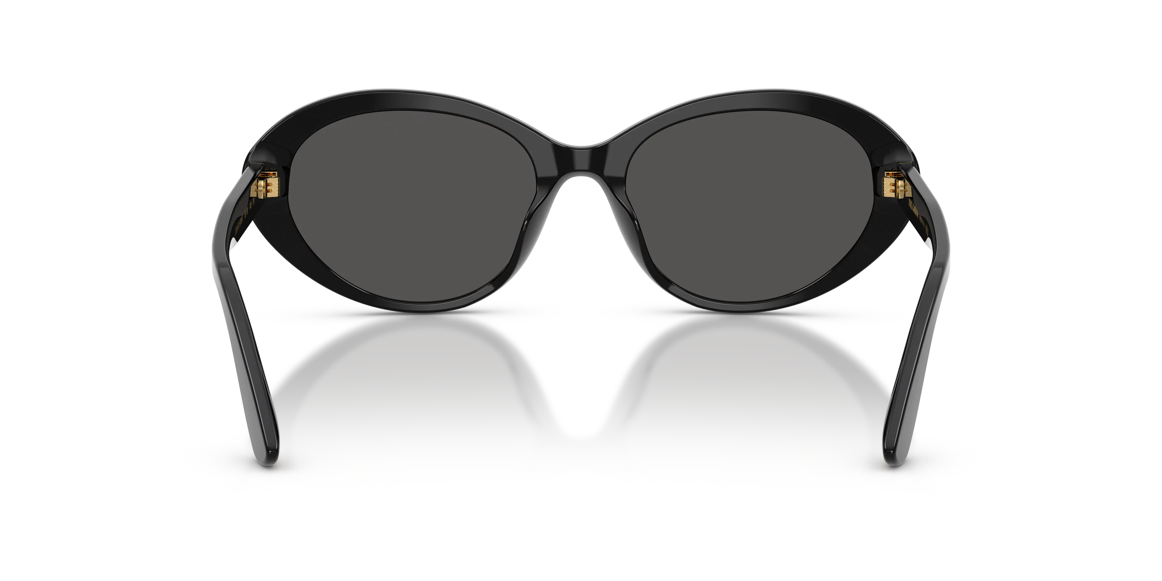 Detail02, Dolce & Gabbana DG 4570 Sunglasses