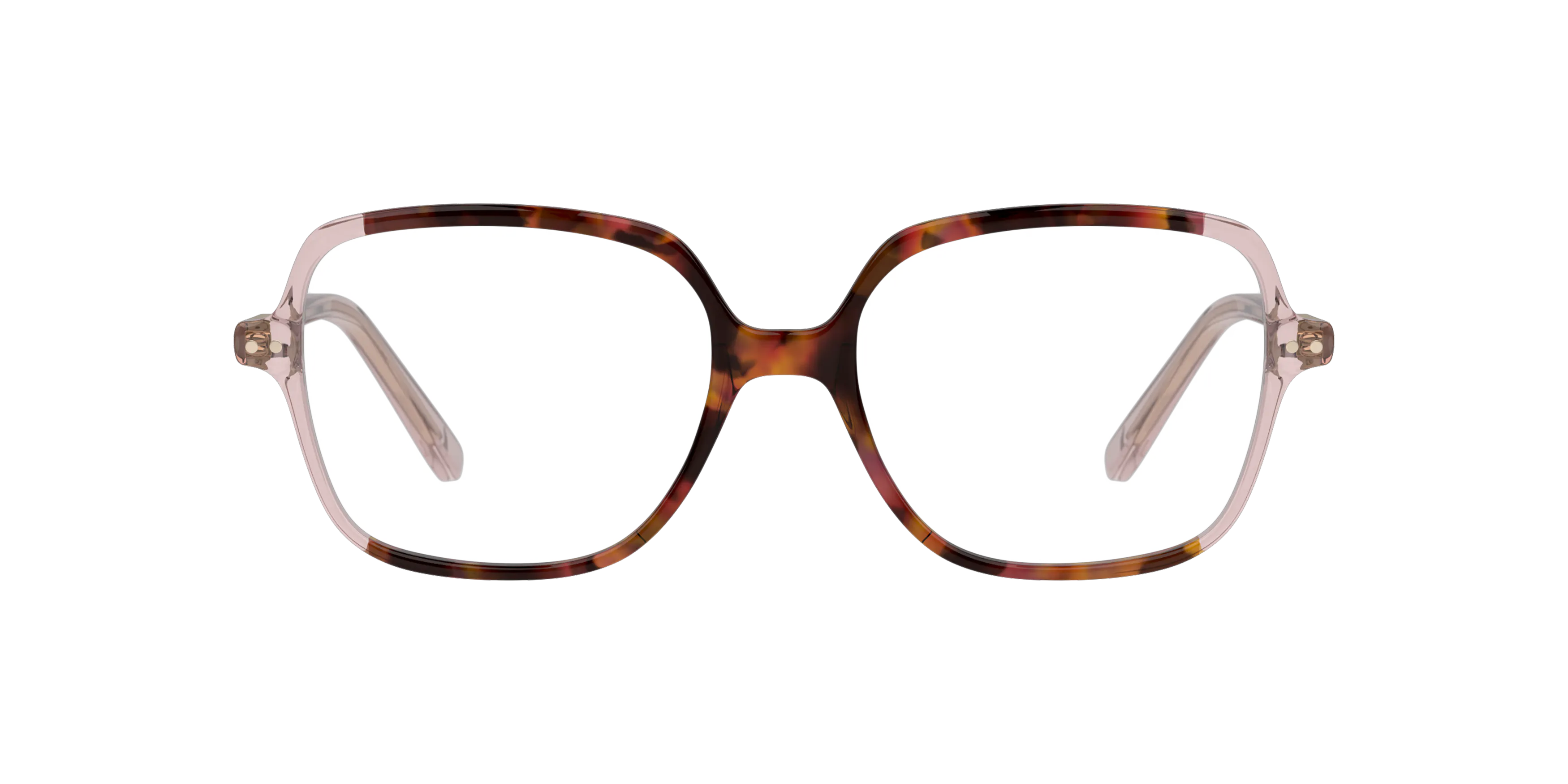 Front, PAUL & JOE RUBY02 ECRS