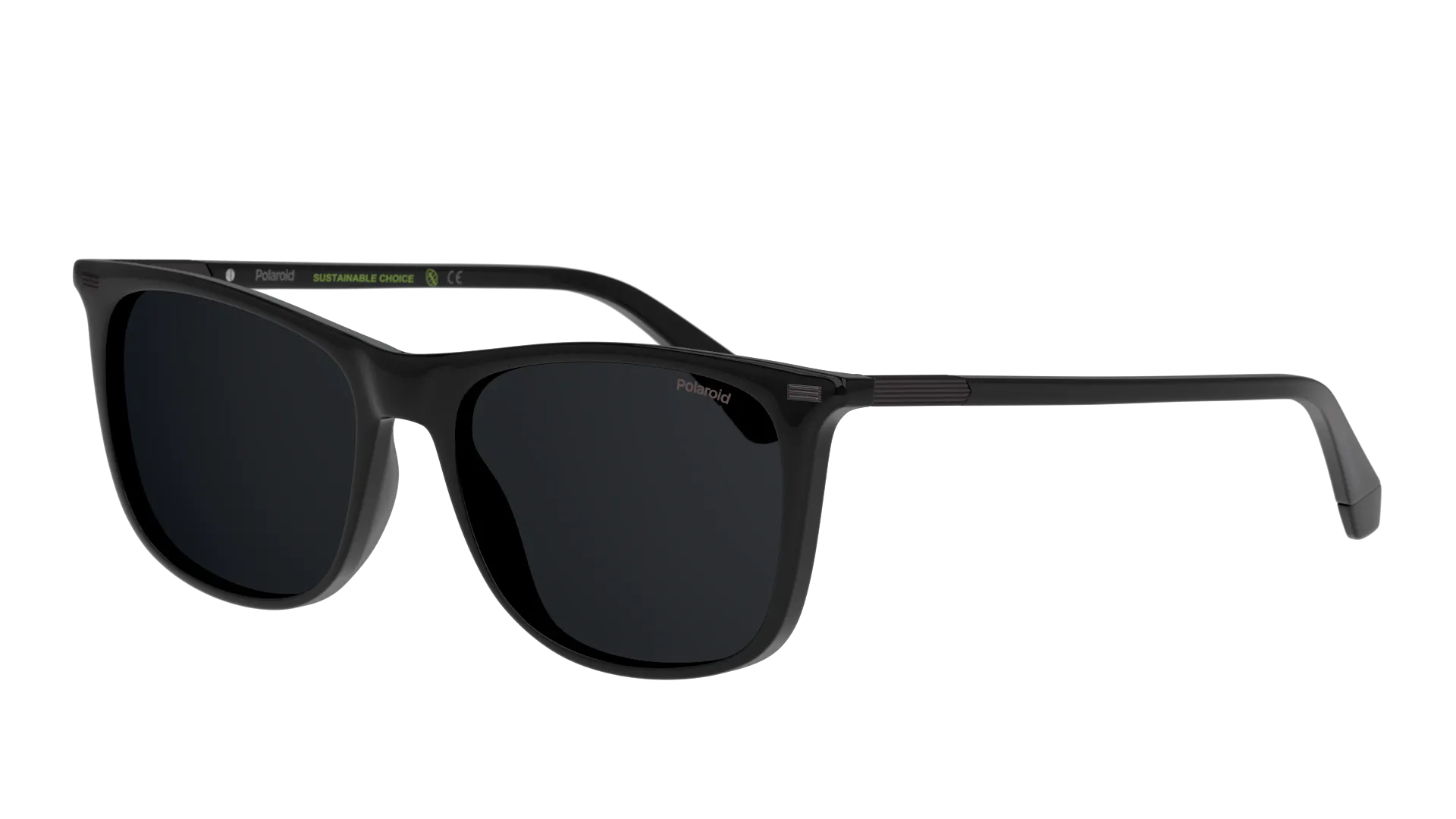 Angle_Left01, Polaroid P4000212 1105L1