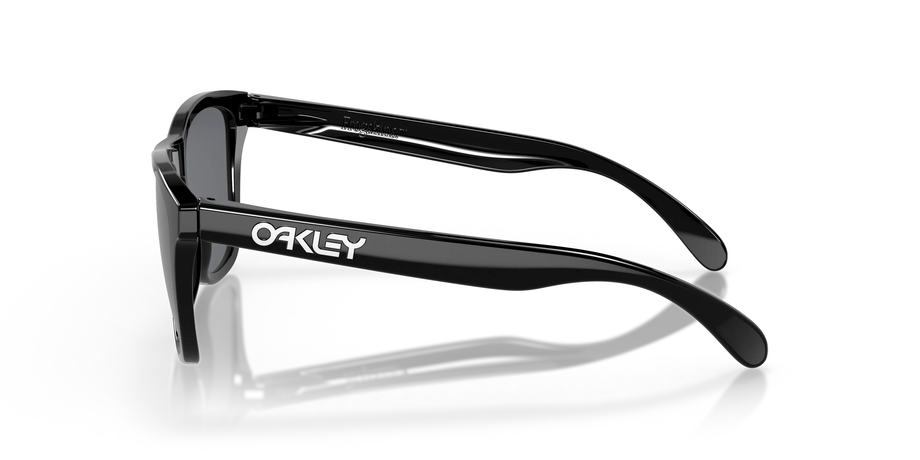 Angle_Left02, Oakley Frogskins OO9013 306