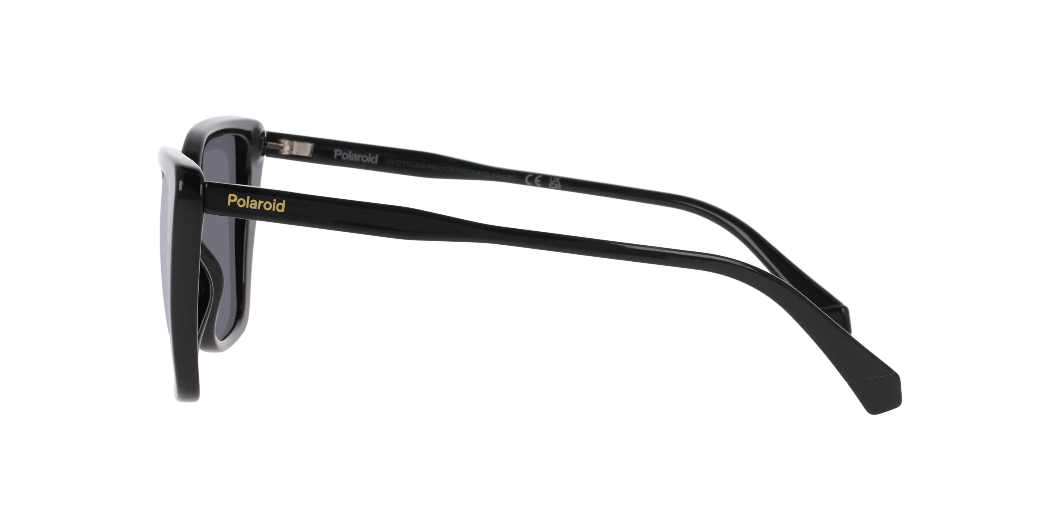 Angle_Left02, Polaroid PLD 4189/S P4000786 1100M1