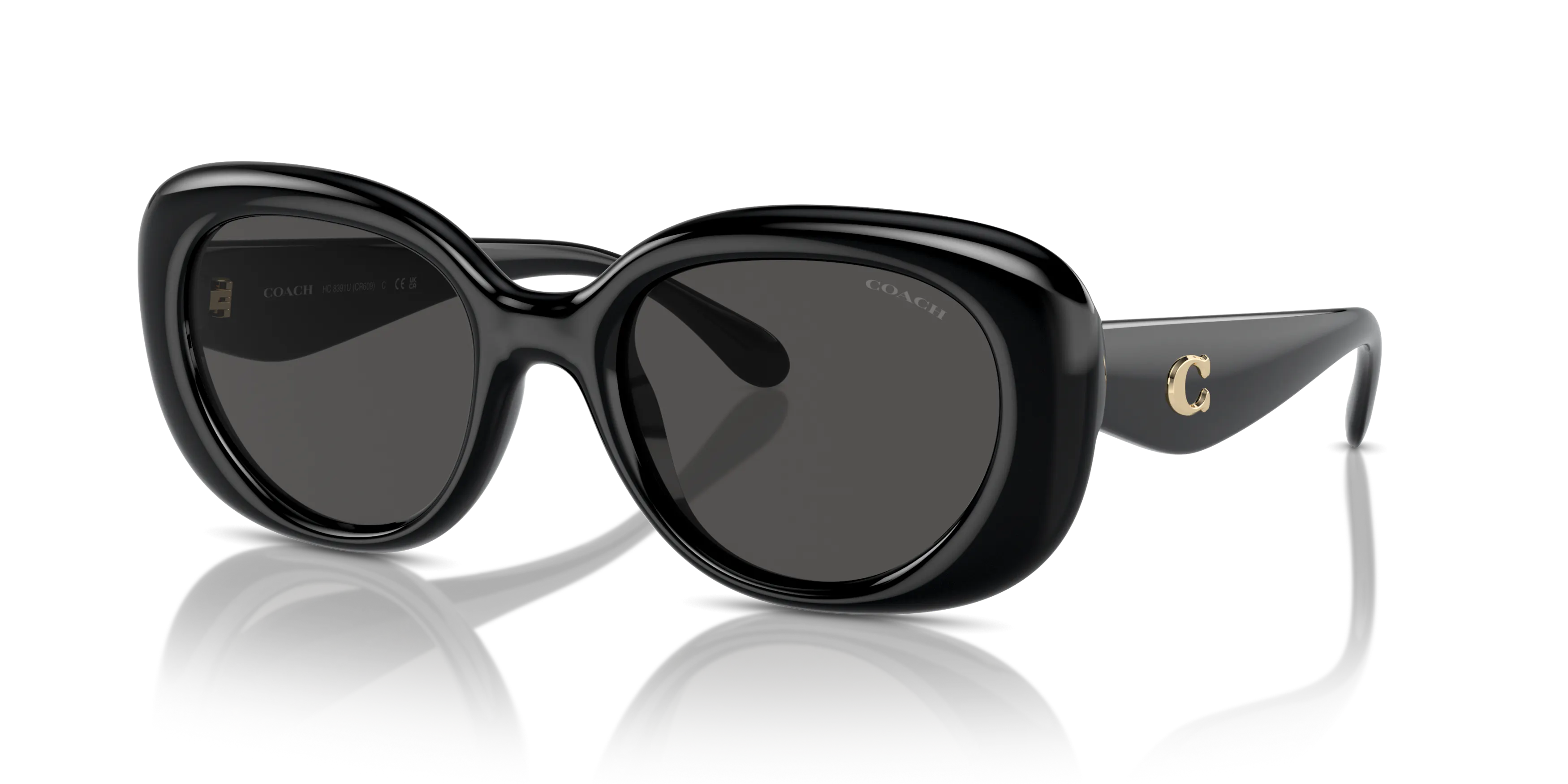 Angle_Left01, Coach HC8391U 500287