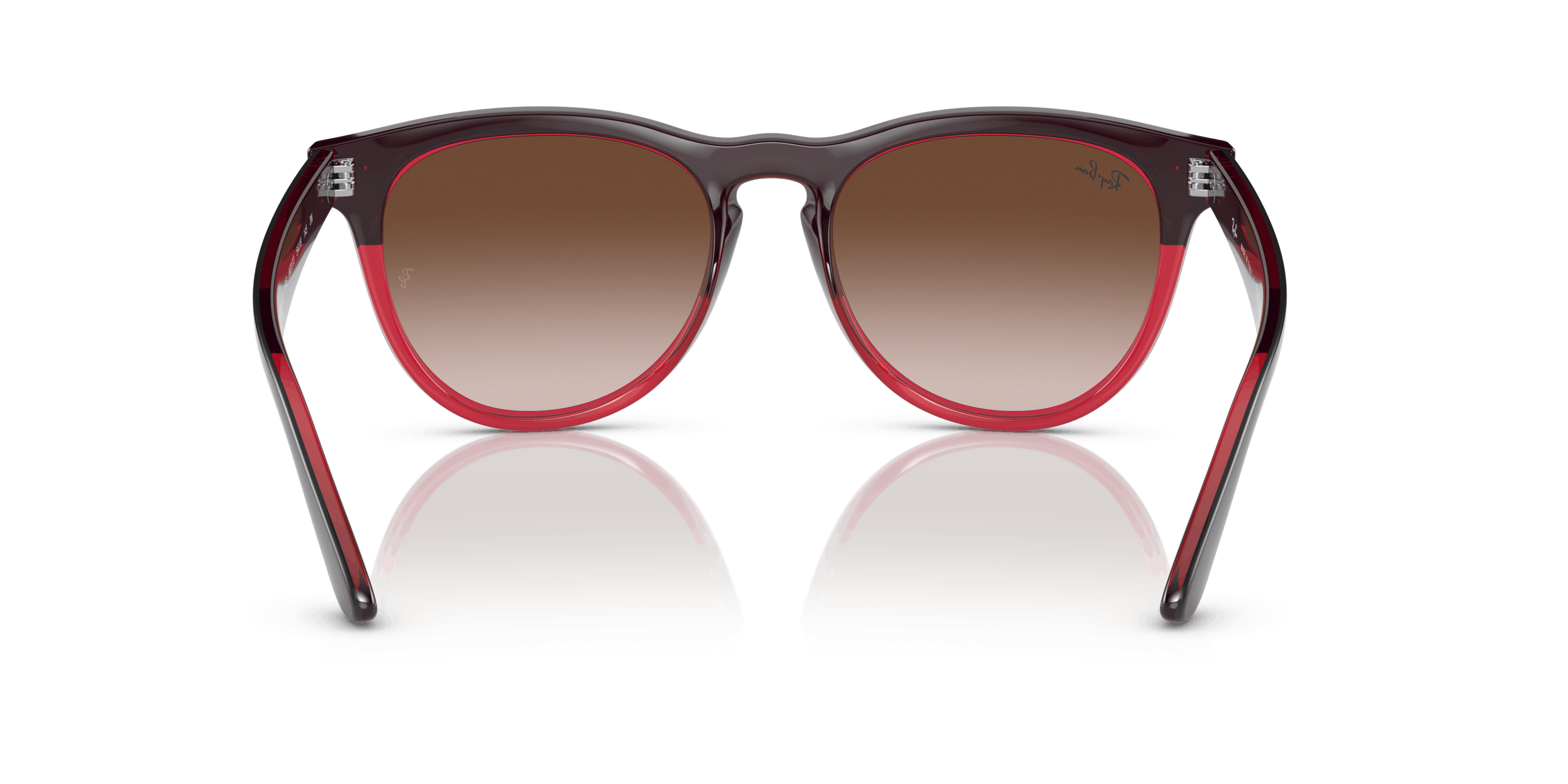 Detail02, Ray-Ban IRIS RB4471 663113