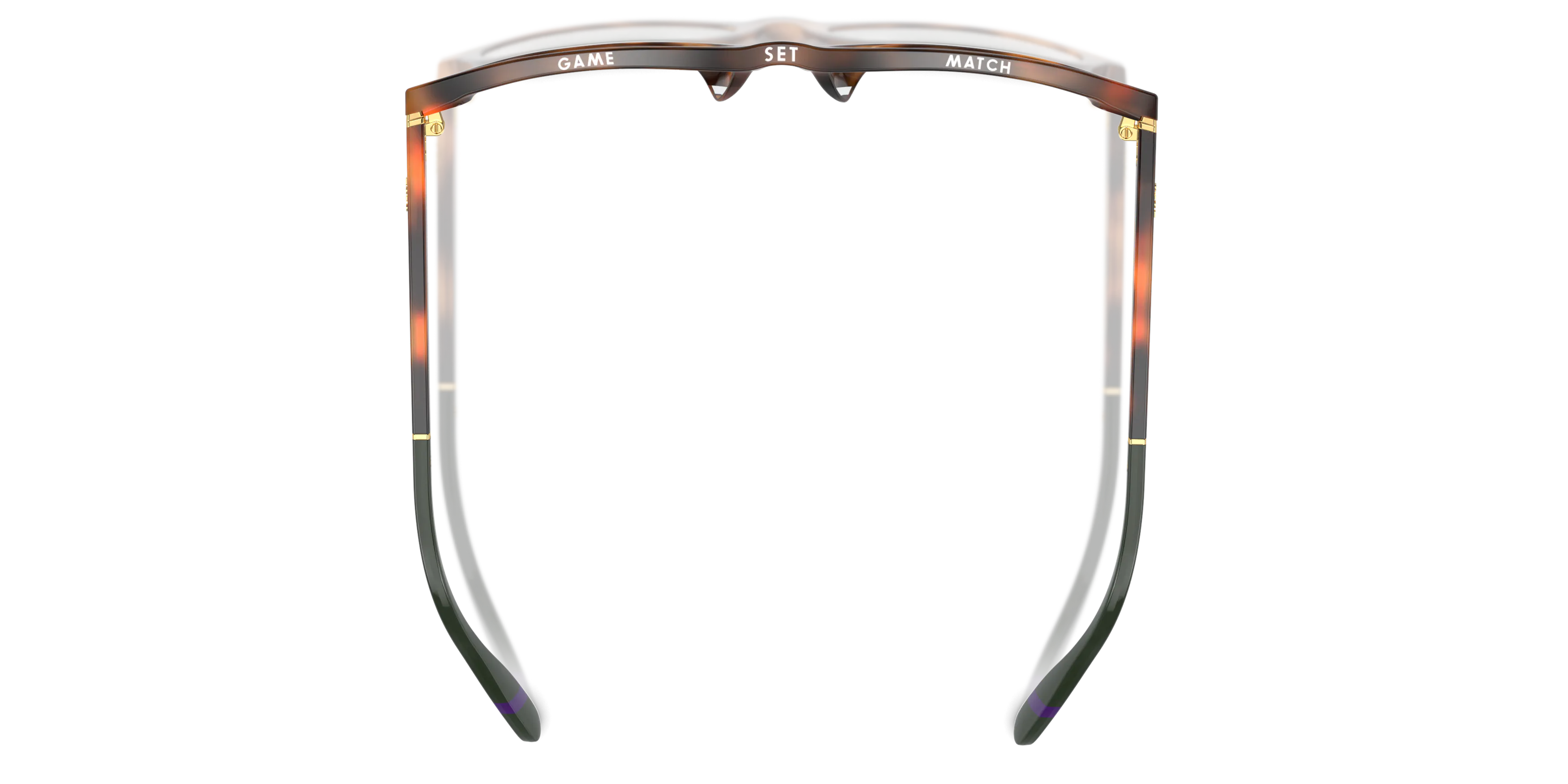 Detail05, Polo Ralph Lauren PH 4205U Sunglasses