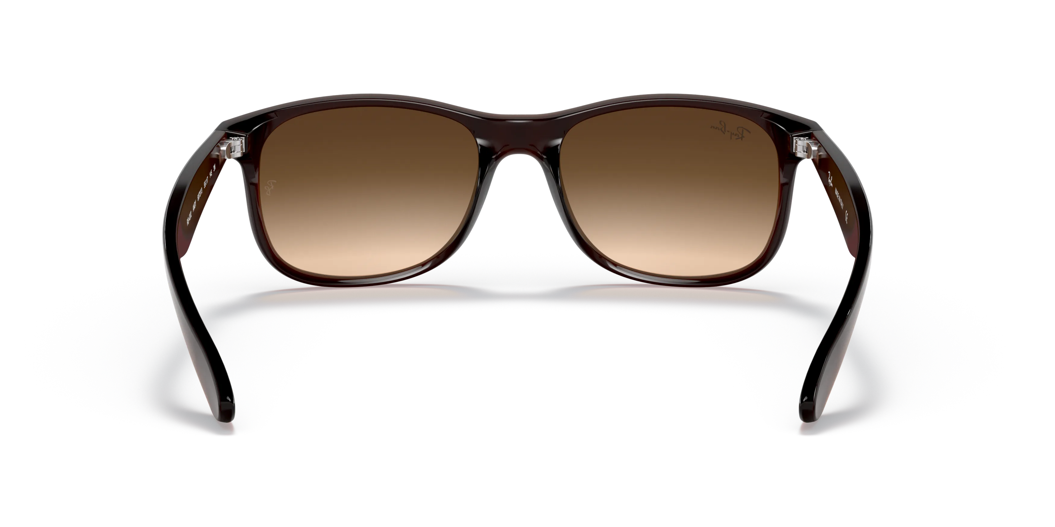 Detail02, Ray-Ban Andy RB 4202 Sunglasses