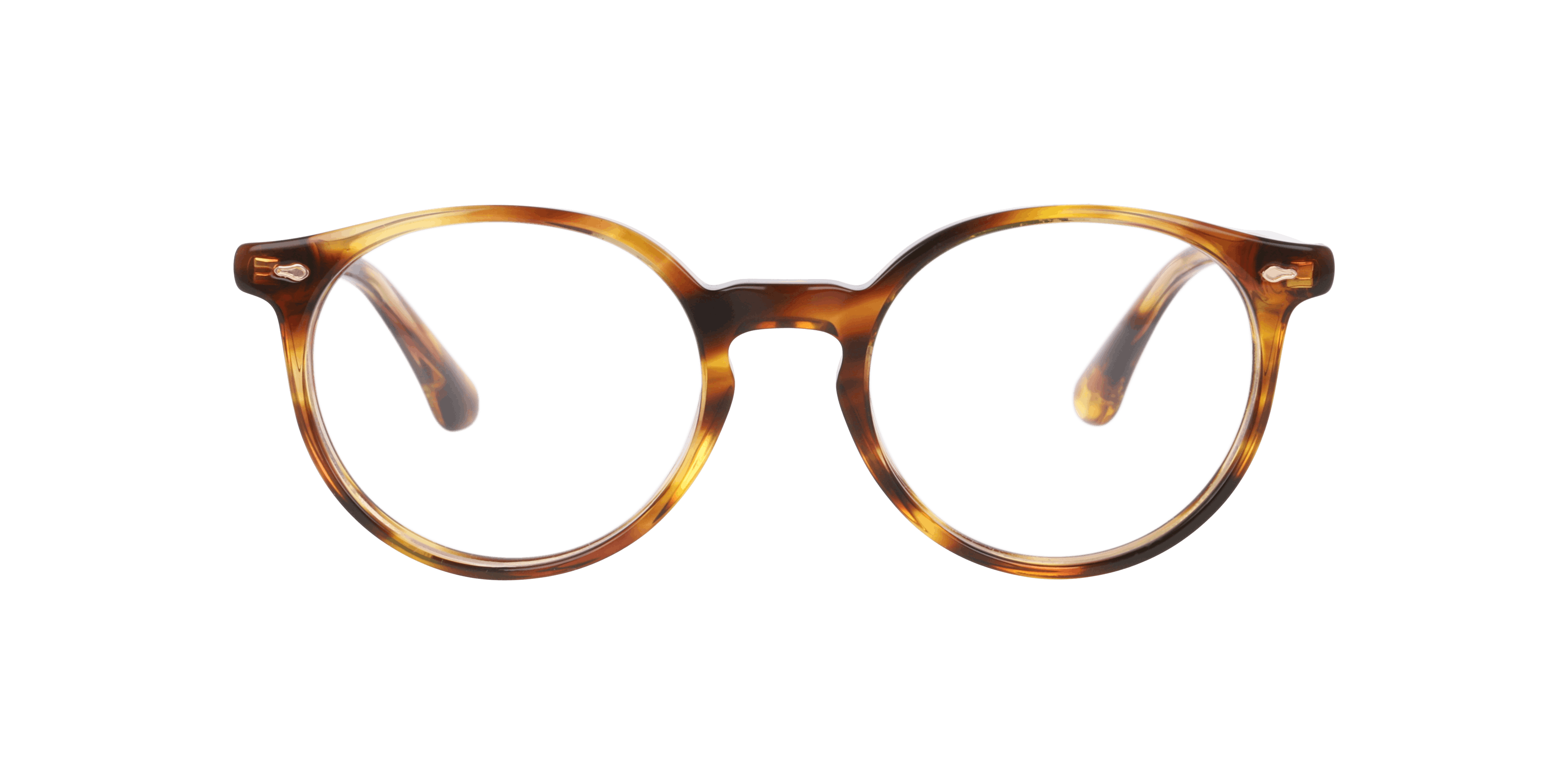 Front, PAUL & JOE MALVA01 E659