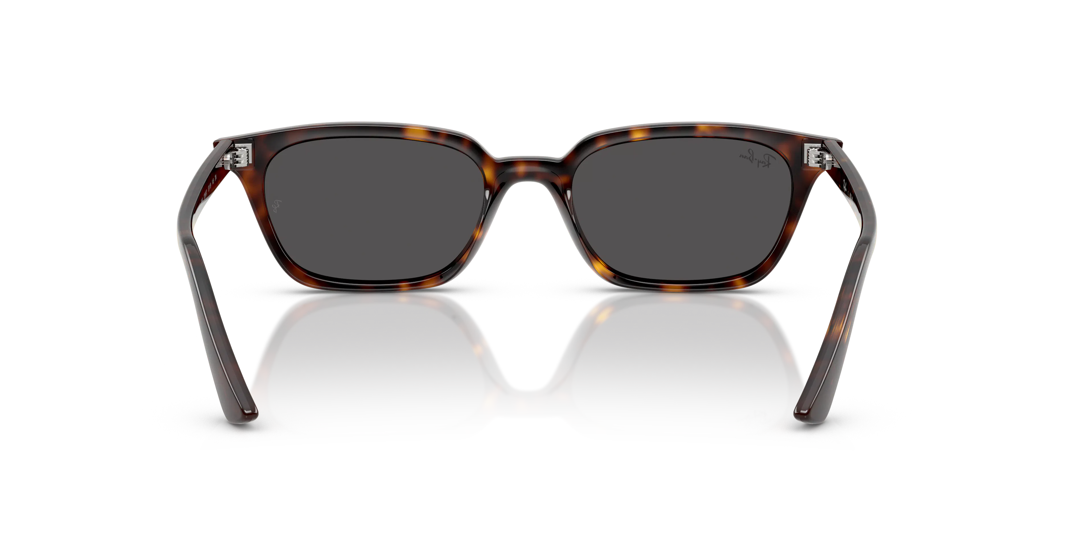 Detail02, Ray-Ban Zaya Bio-Based RB 4456 Sunglasses