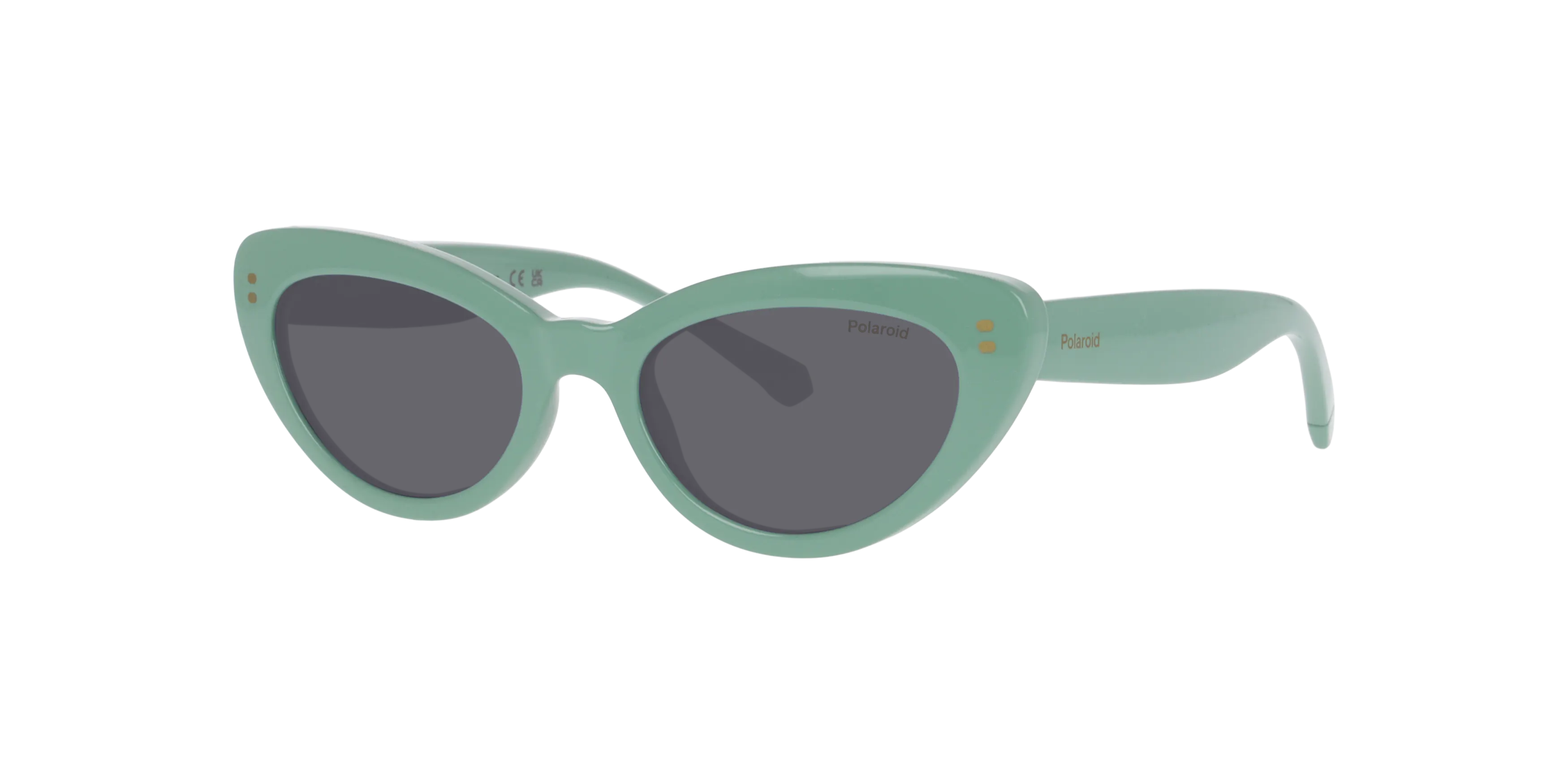 Angle_Left01, Polaroid P4000794 2500M1