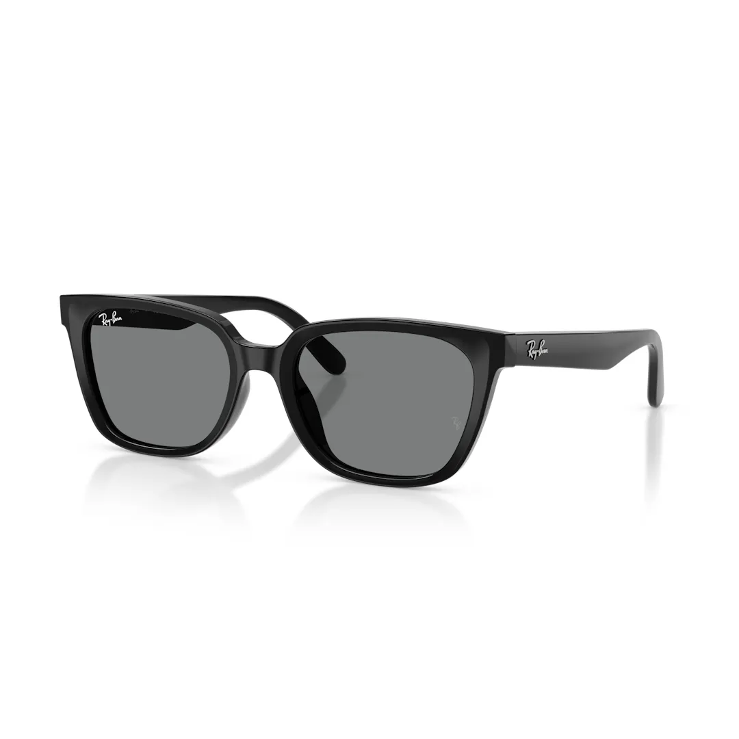 Ray-Ban 0RB2243D Solbriller - Firkantede Sort Ray-Ban 0RB2243D Solbriller - Firkantede Sort