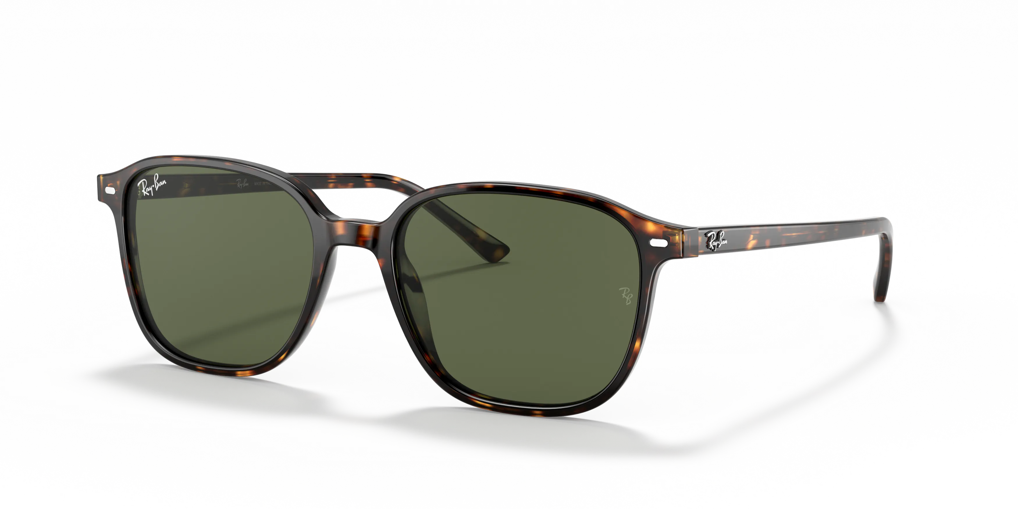 Angle_Left01, Ray-Ban Leonard RB2193 902/31
