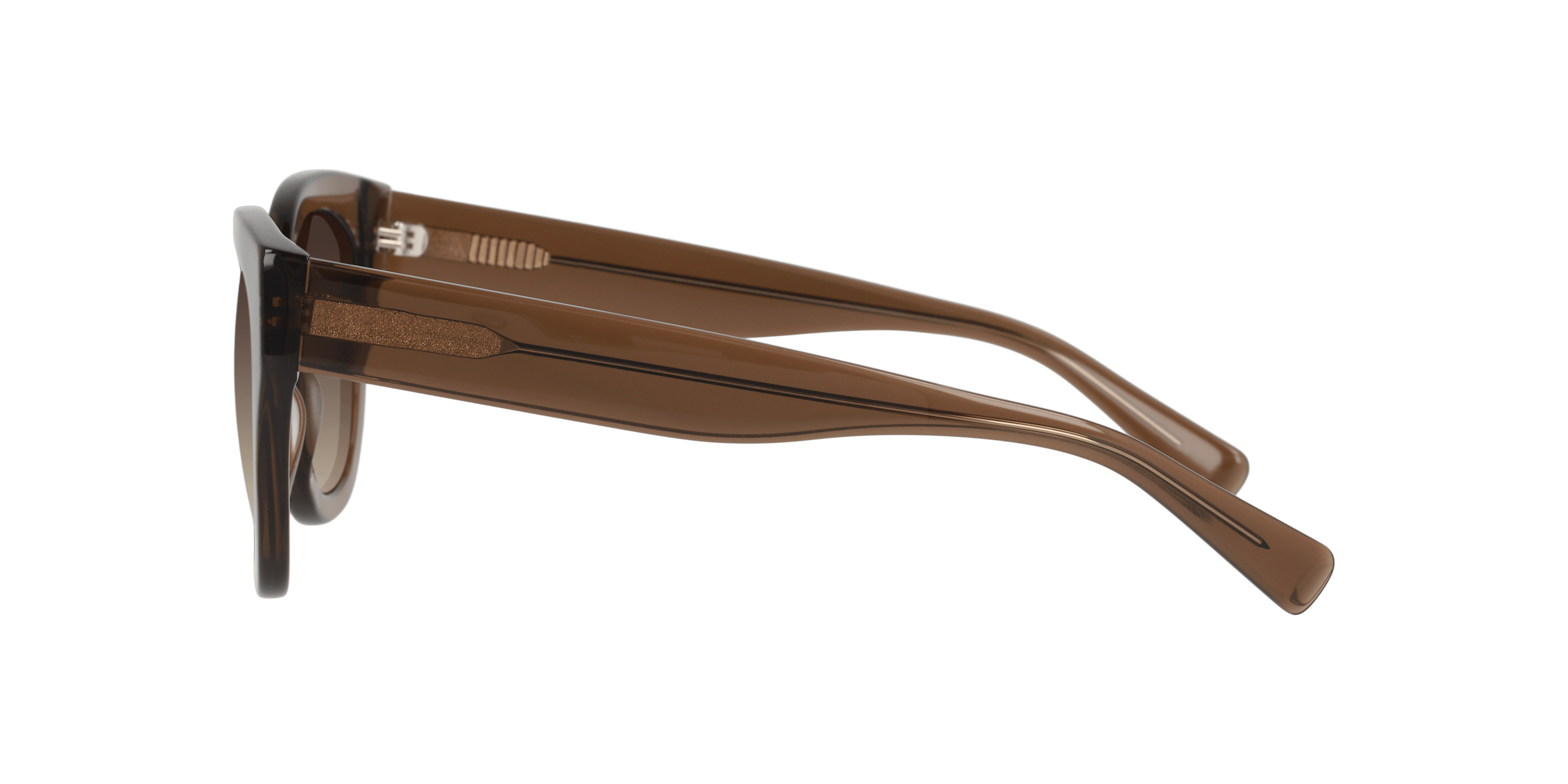 Angle_Left02, Sun 0IY4069 C02 Solbriller